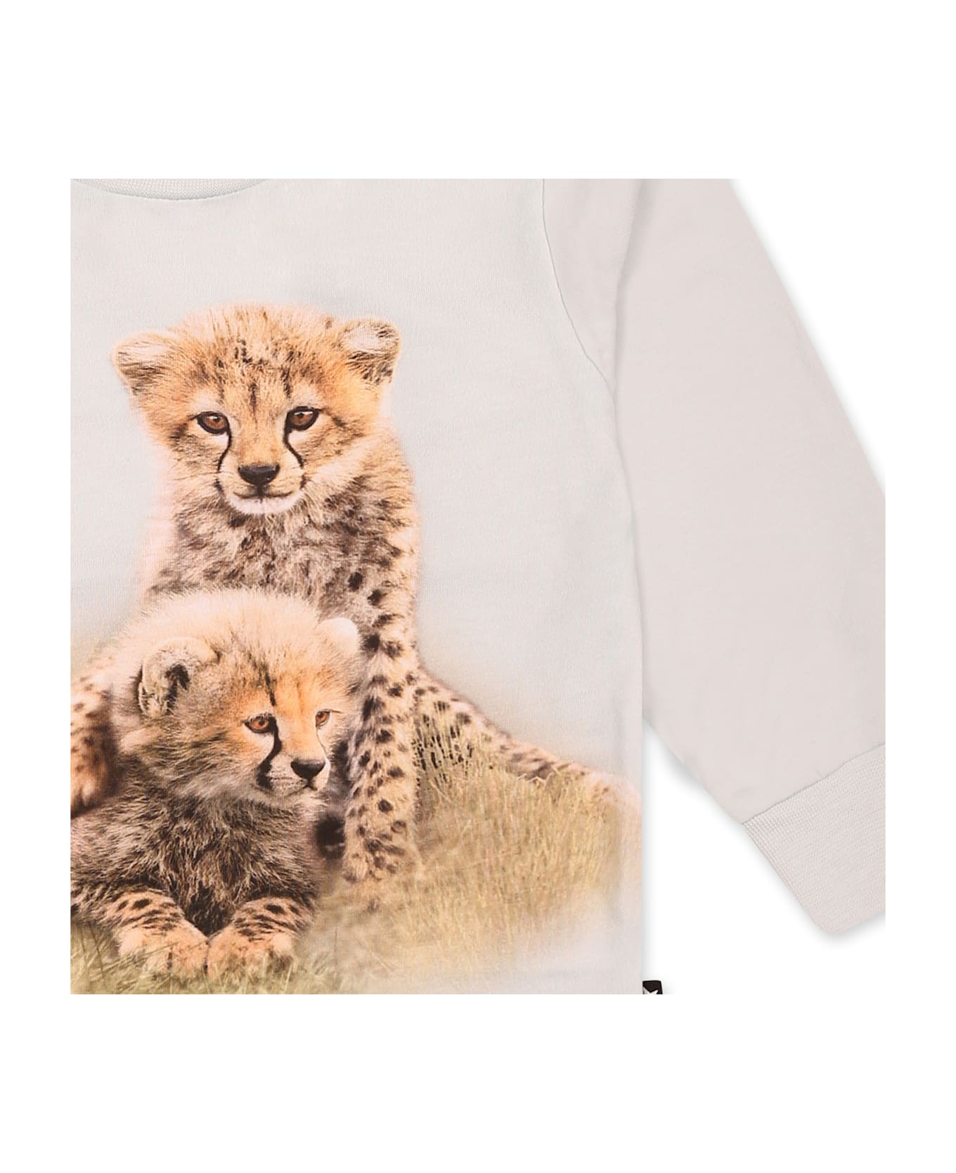 Molo Light Blue T-shirt For Babykids With Cheetah - Light Blue