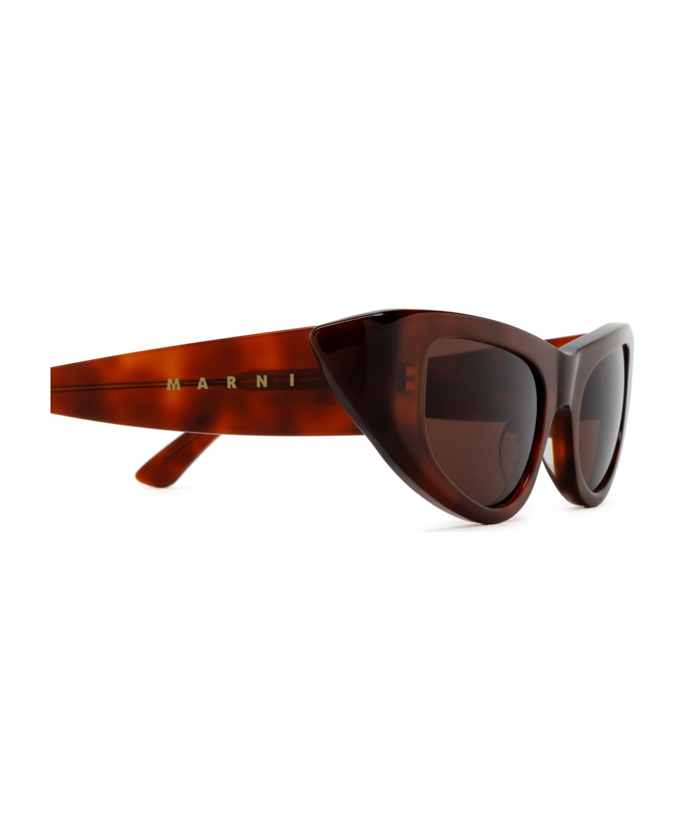 Marni Eyewear Netherworld Havana Sunglasses - Havana サングラス
