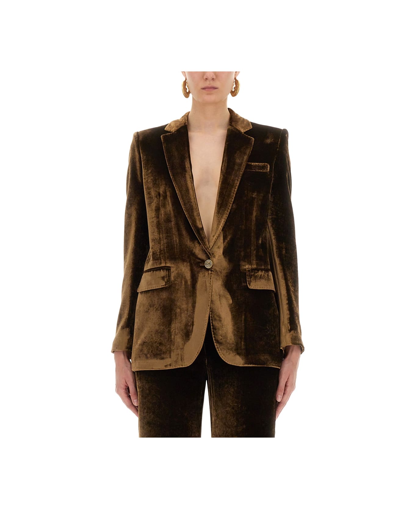 Etro Velvet Jacket - BROWN