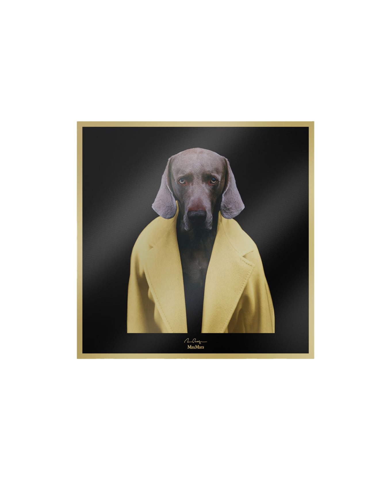 Max Mara ''carremadame'' Foulard - Yellow