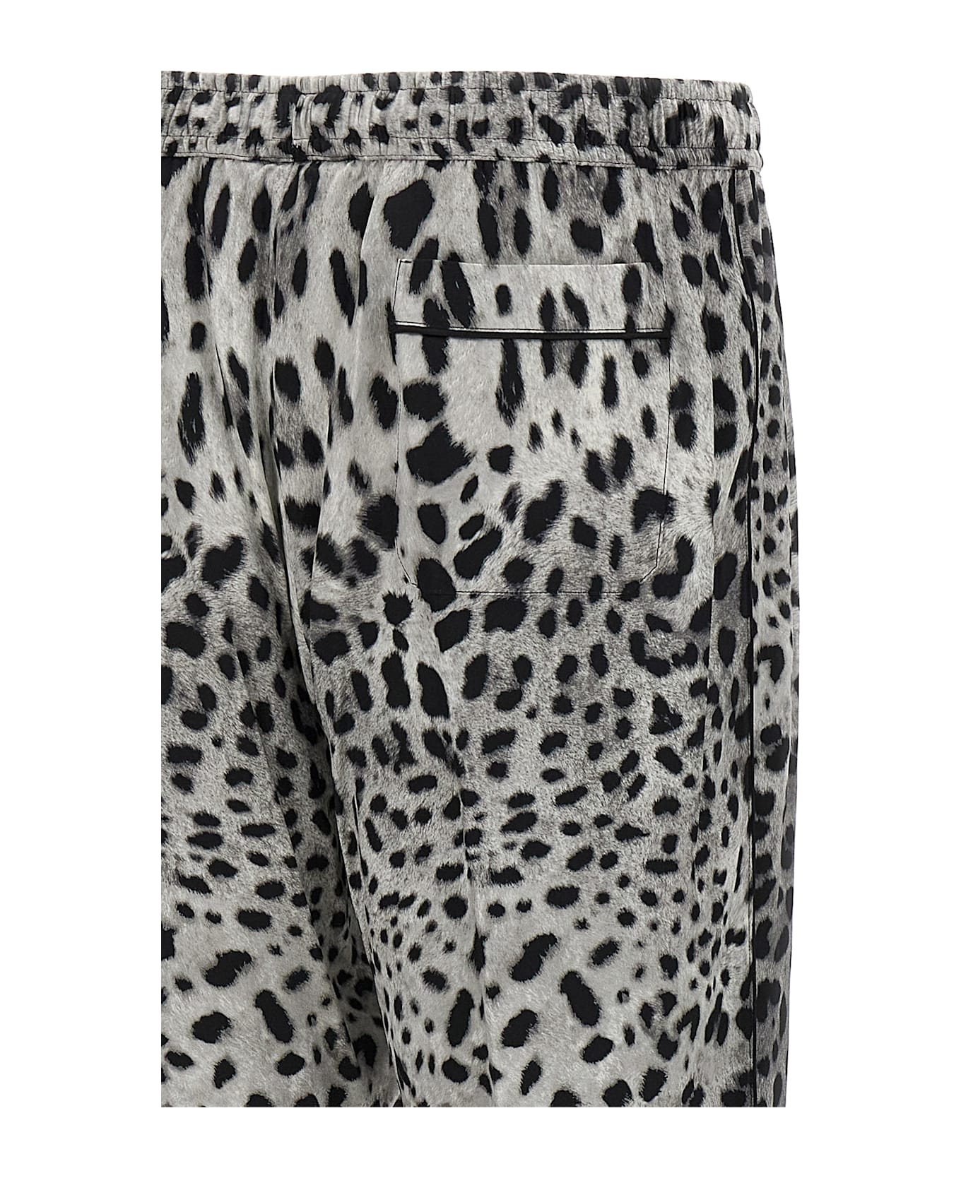 Dolce & Gabbana 'leo' Pants - Multicolor