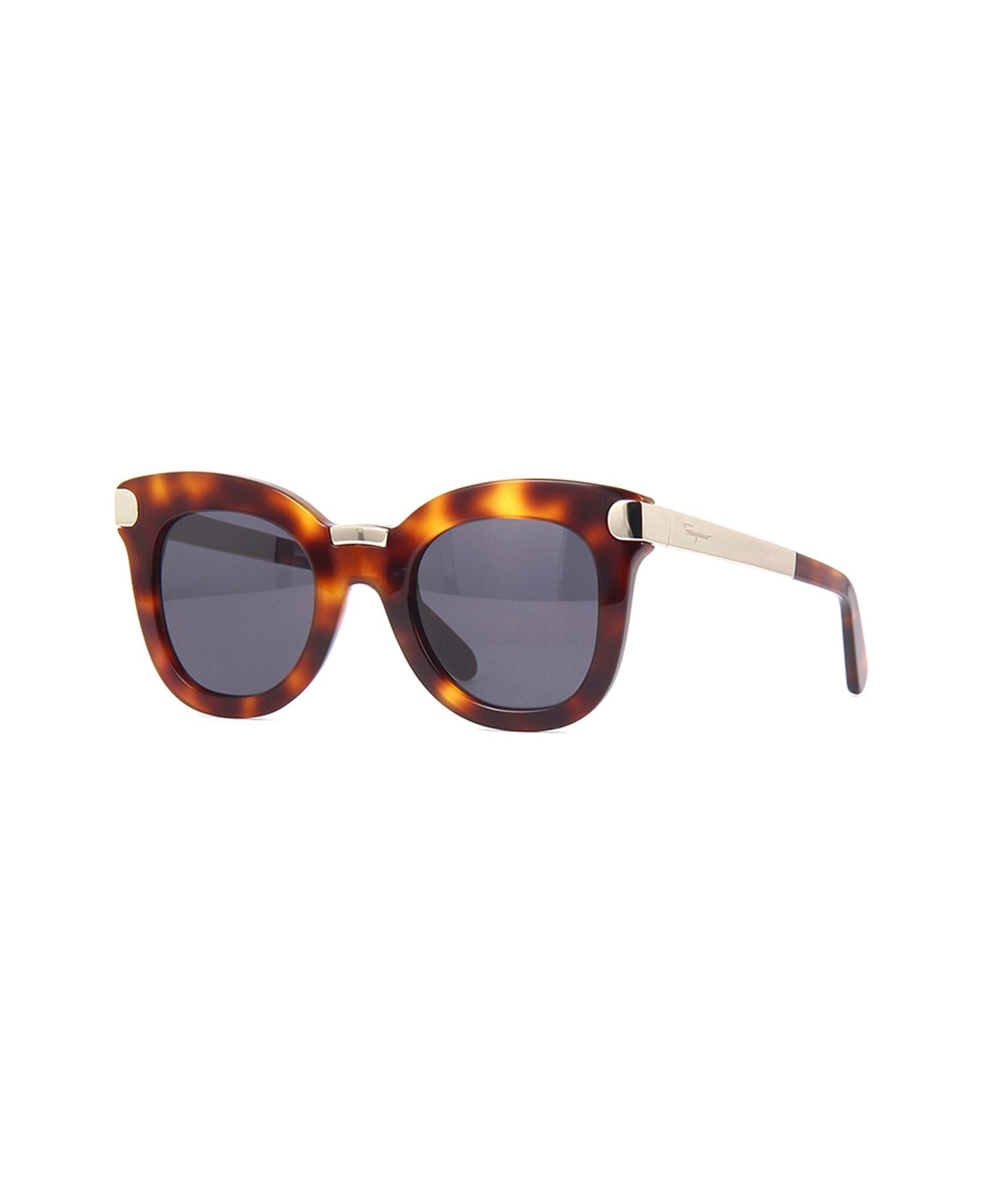 Salvatore Ferragamo Eyewear Sf967s Sunglasses GG1080S - Marrone