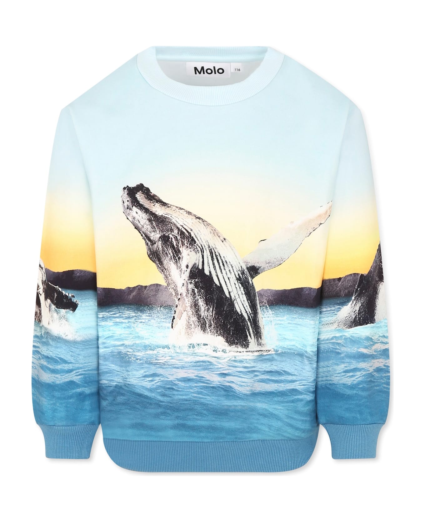 Molo Light Blue Sweatshirt For Boy With Whale - Light Blue