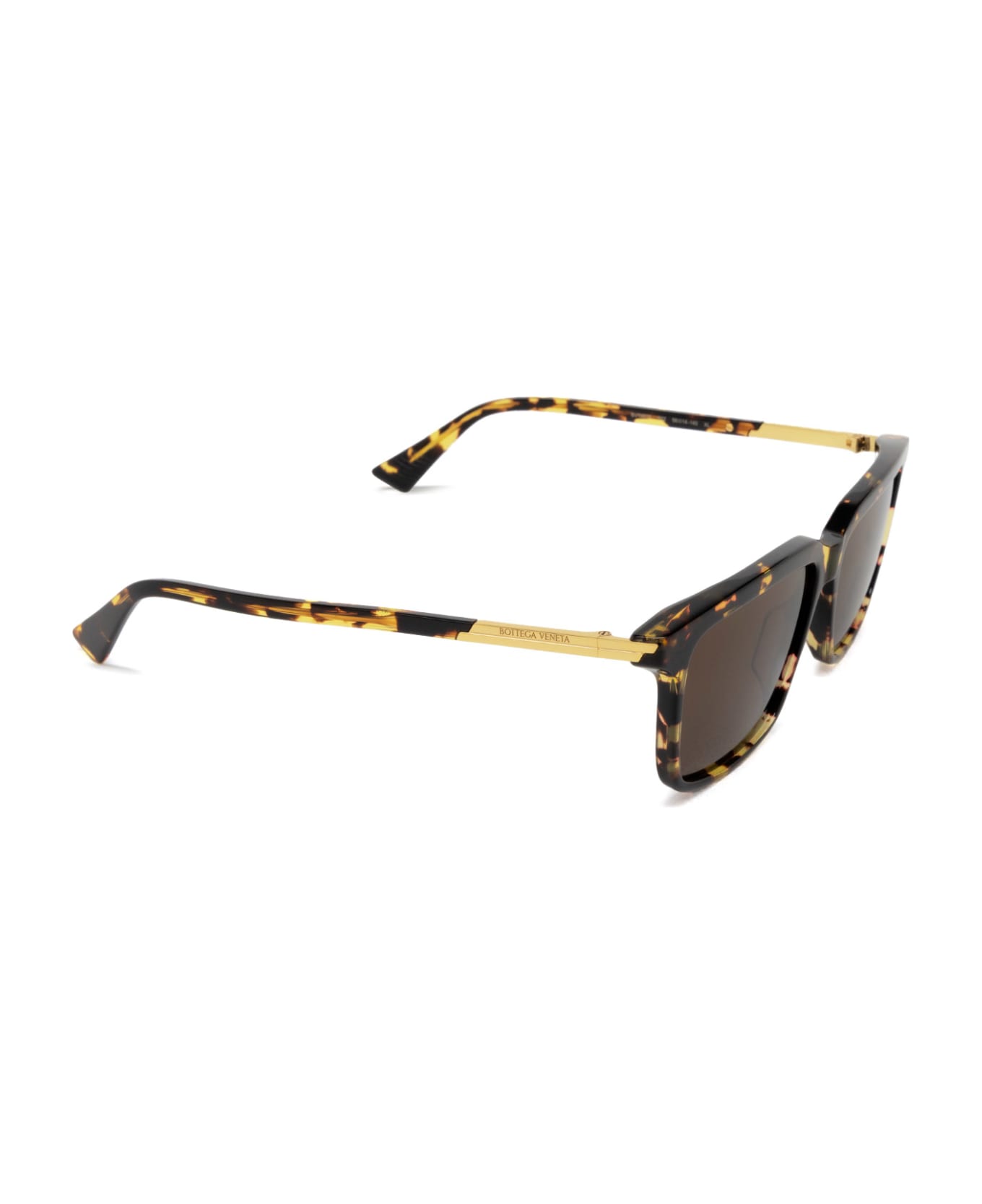 Bottega Veneta Eyewear Bv1261s Havana Sunglasses - Havana