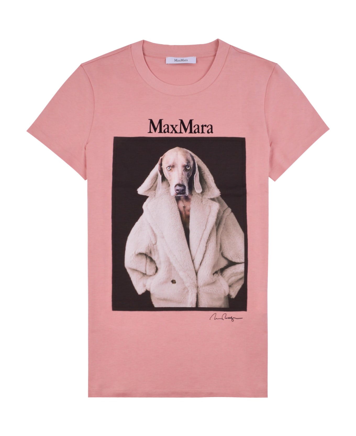 Max Mara T-shirt Dogstar | italist