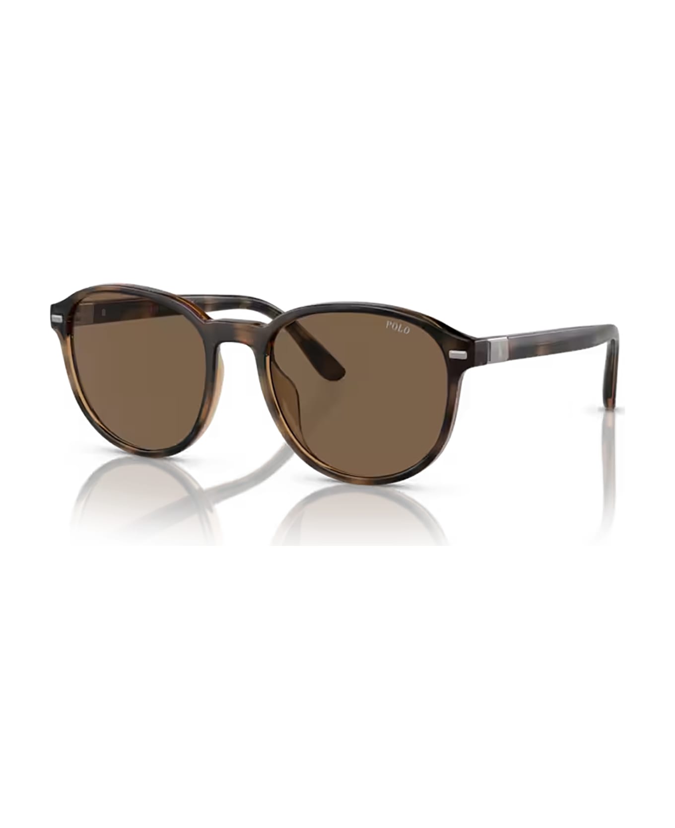 Polo Ralph Lauren Ph4207u Shiny Havana Sunglasses - Shiny Havana サングラス