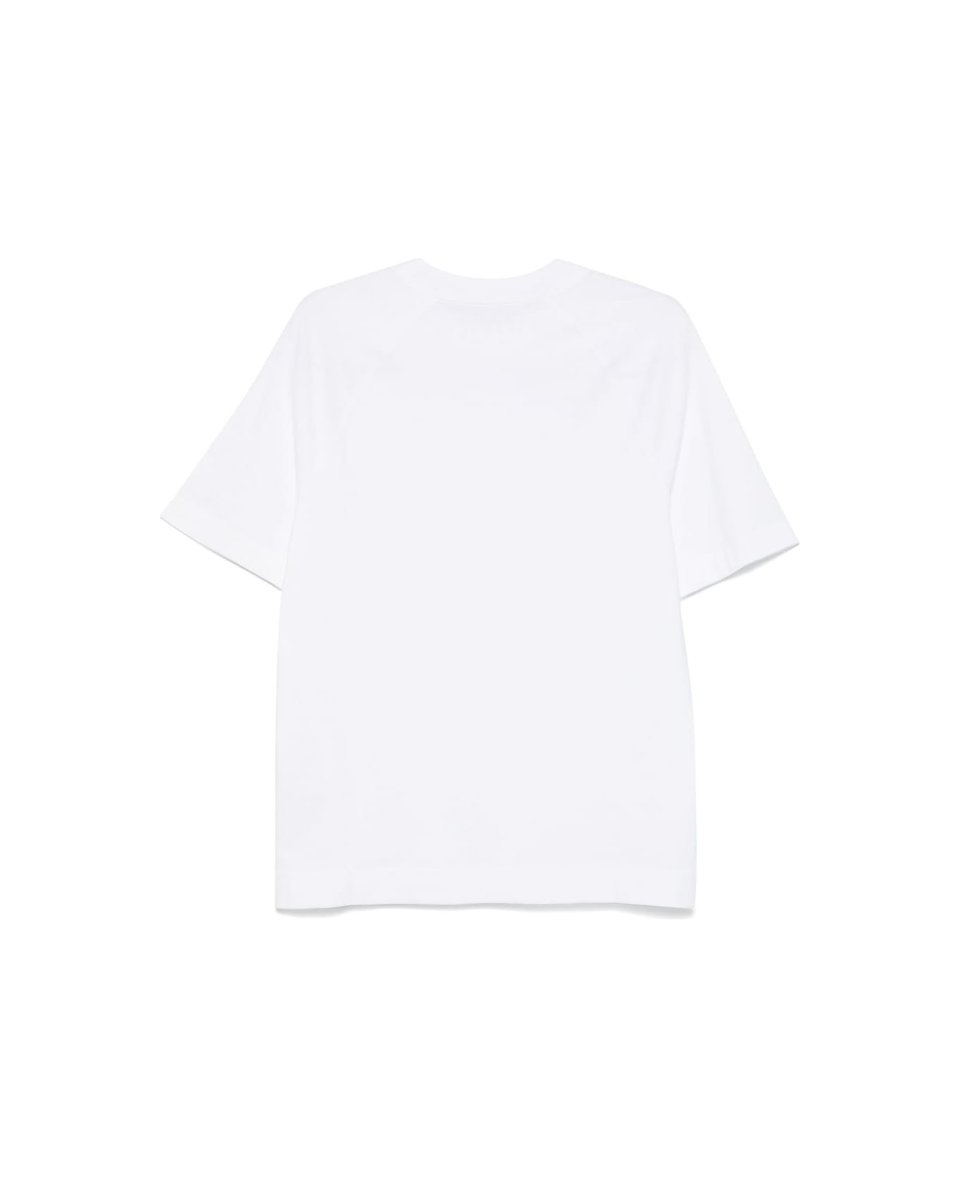 Circolo 1901 Cotton T-shirt - White