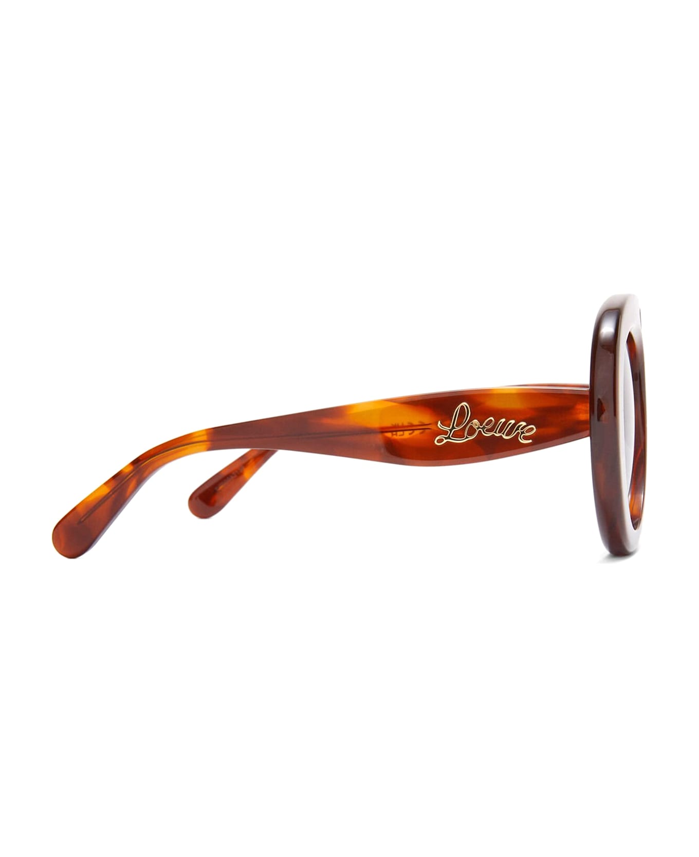 Loewe Lw40144u - Havana Sunglasses - Havana