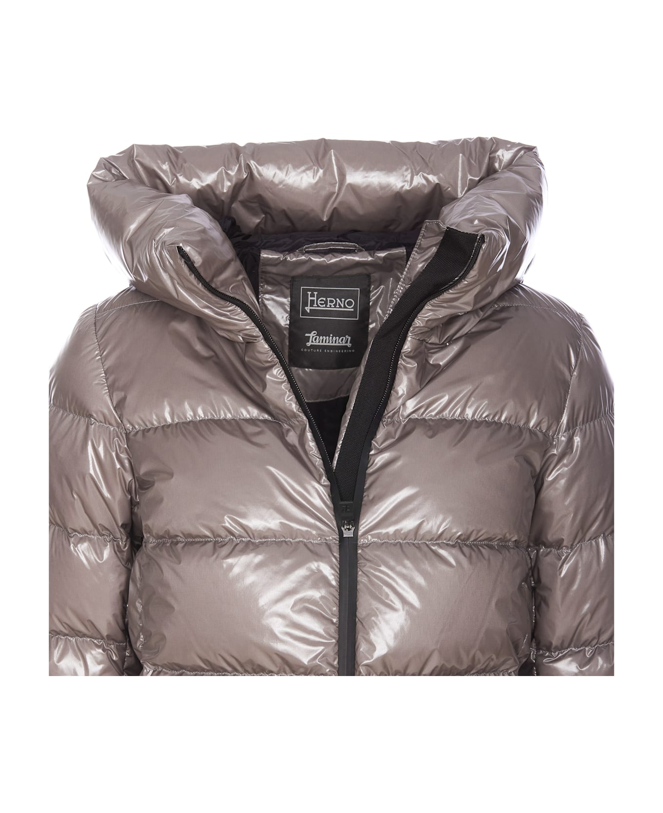 Herno Laminar Glazed Ripstop 2l Down Jacket - GREY