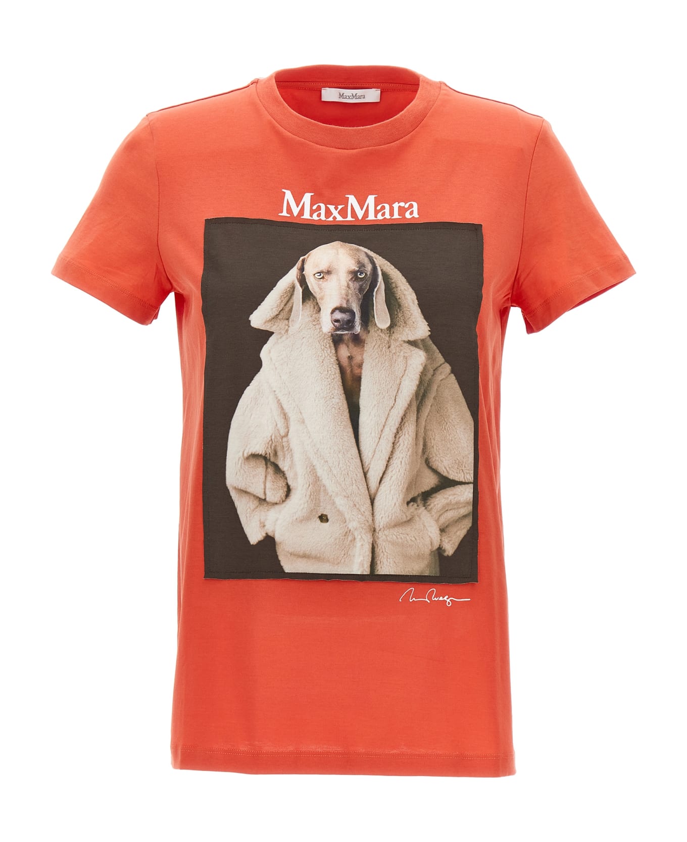 Max Mara 
valido
 Cardigan - Multicolor