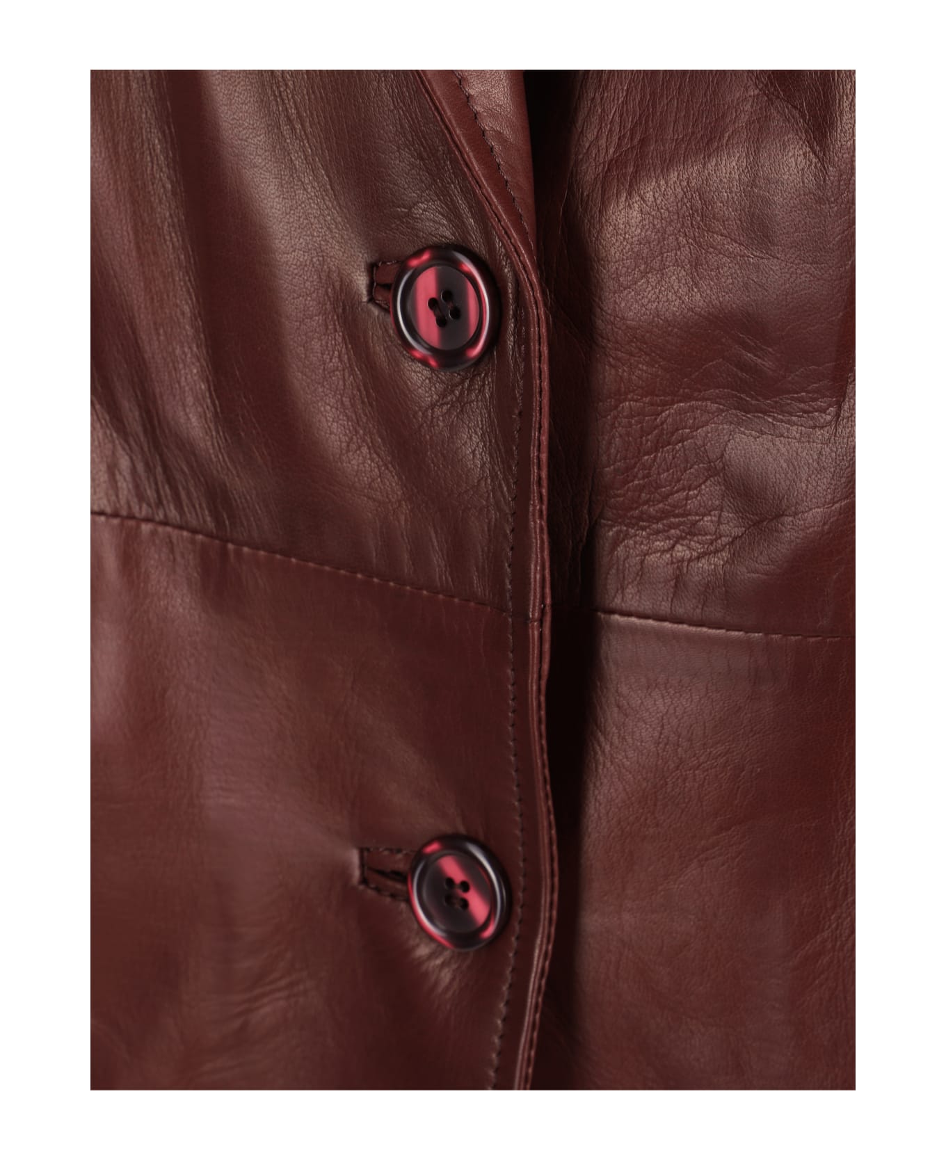 Salvatore Santoro Coat - Bordeaux