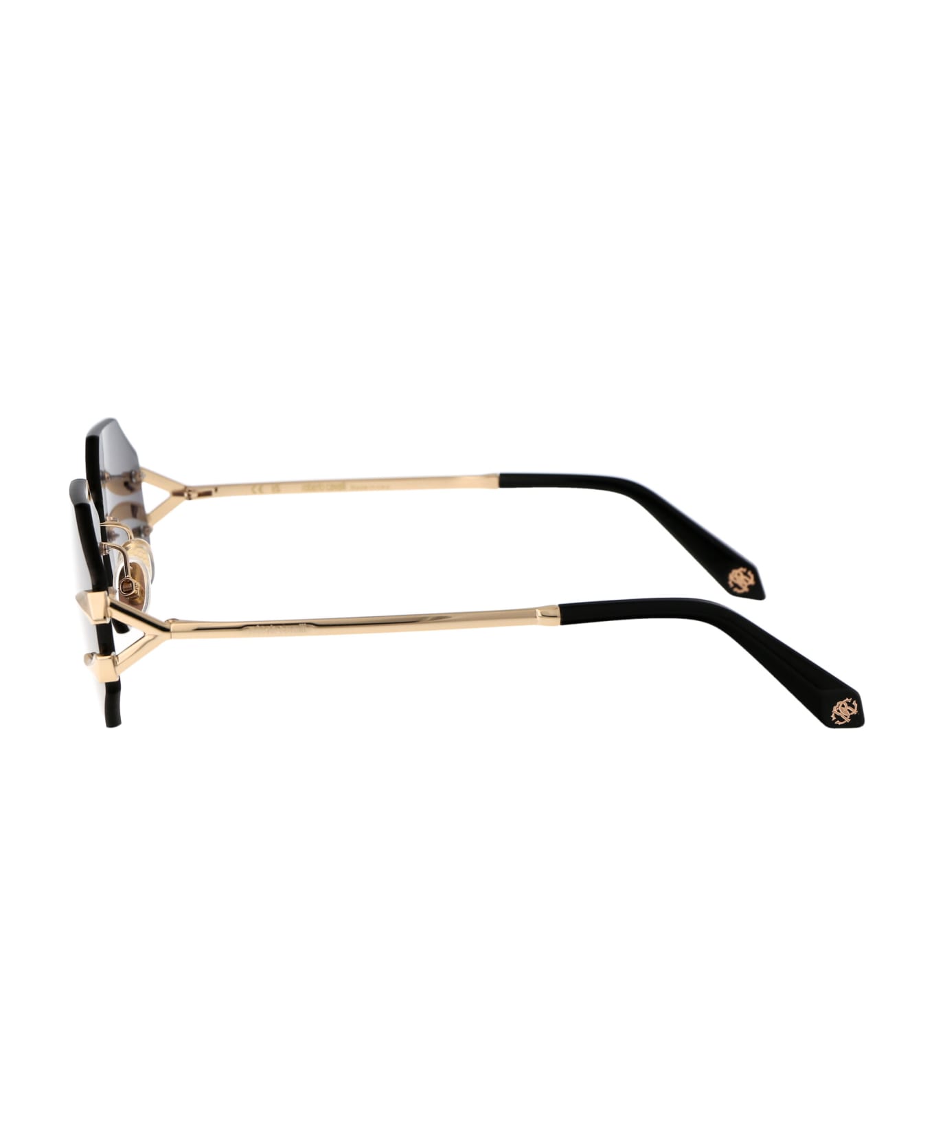 Roberto Cavalli Src005 Sunglasses - 0300 GOLD