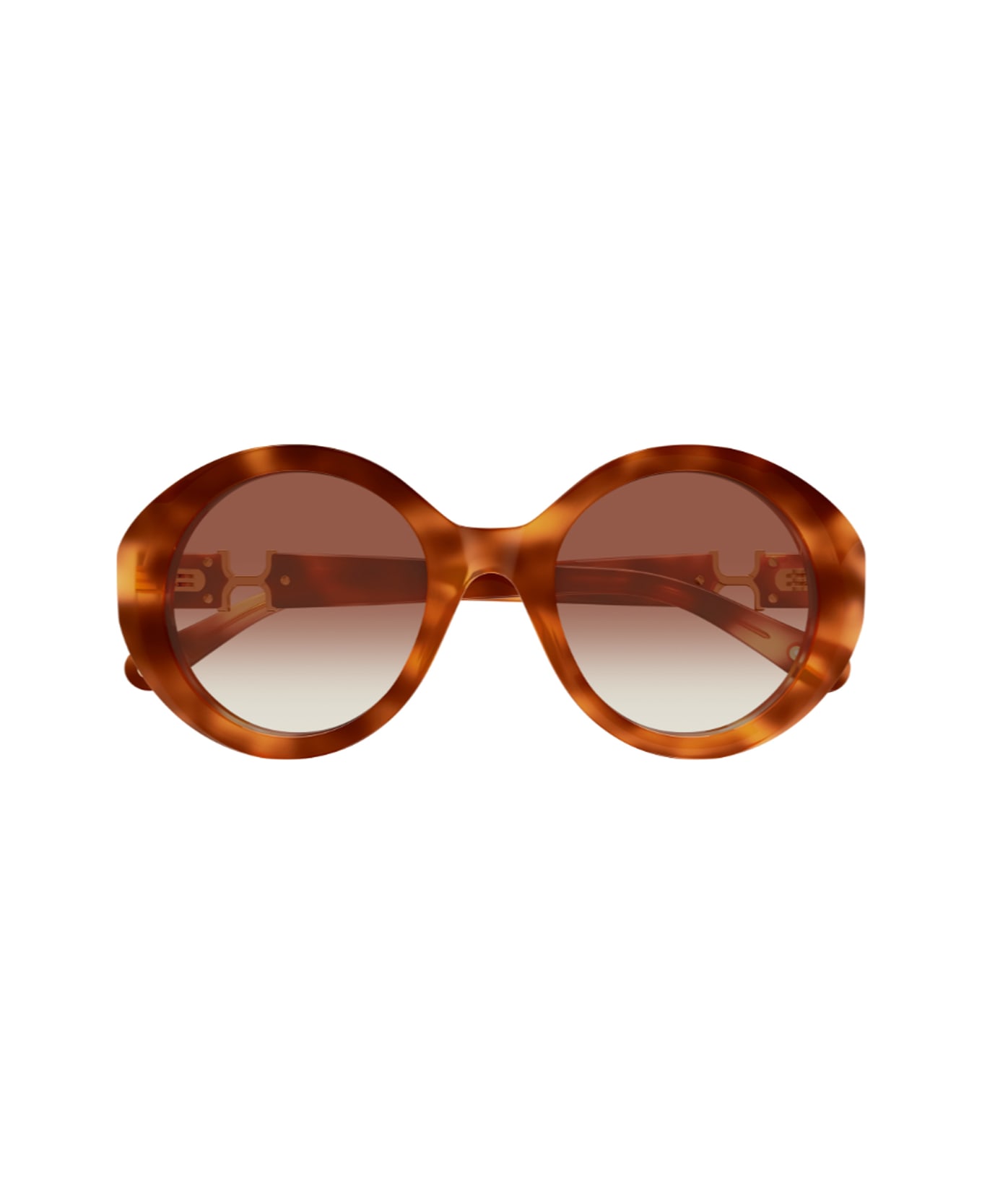 Chloé Ch0332s Marcie- Linea Chloé 003 Havana Brown Sunglasses - Havana