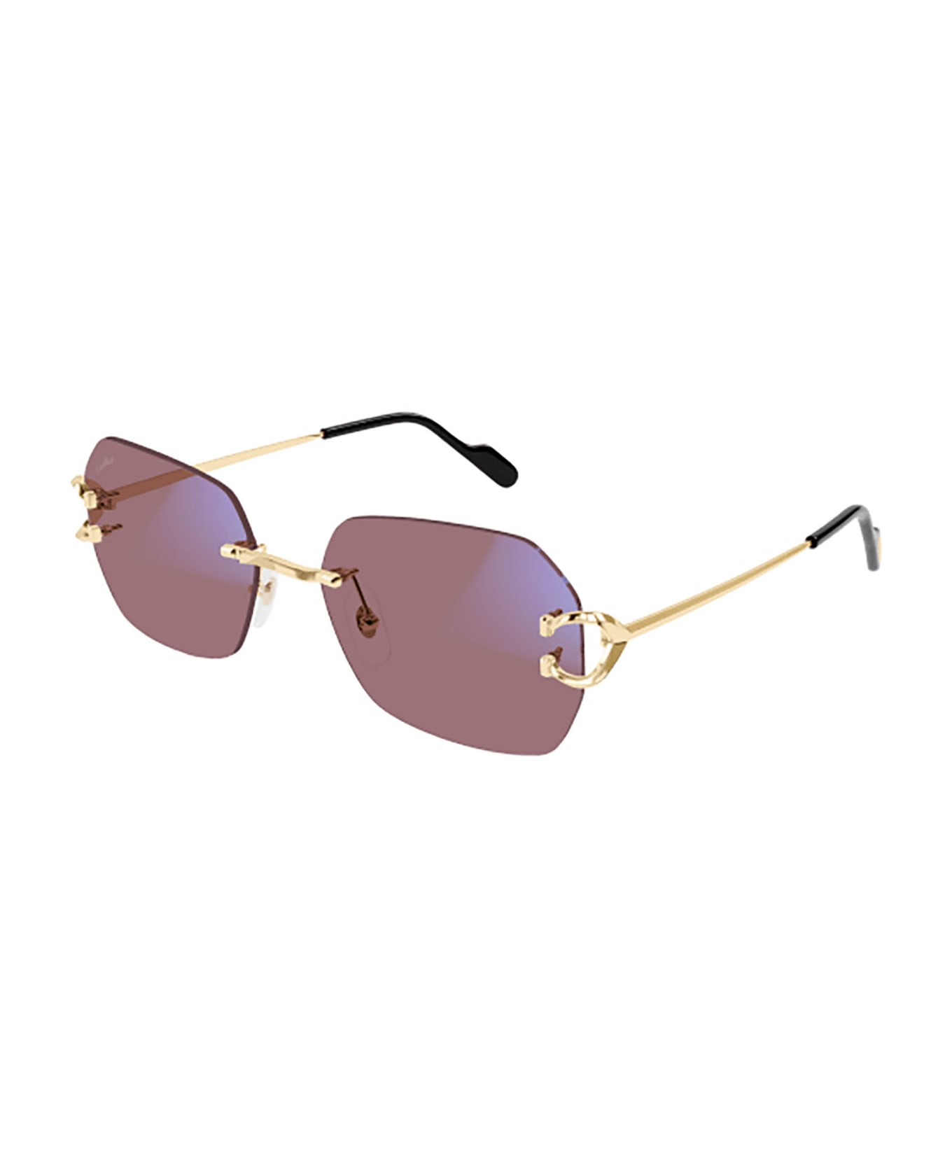 Cartier Eyewear CT0416S Sunglasses | italist