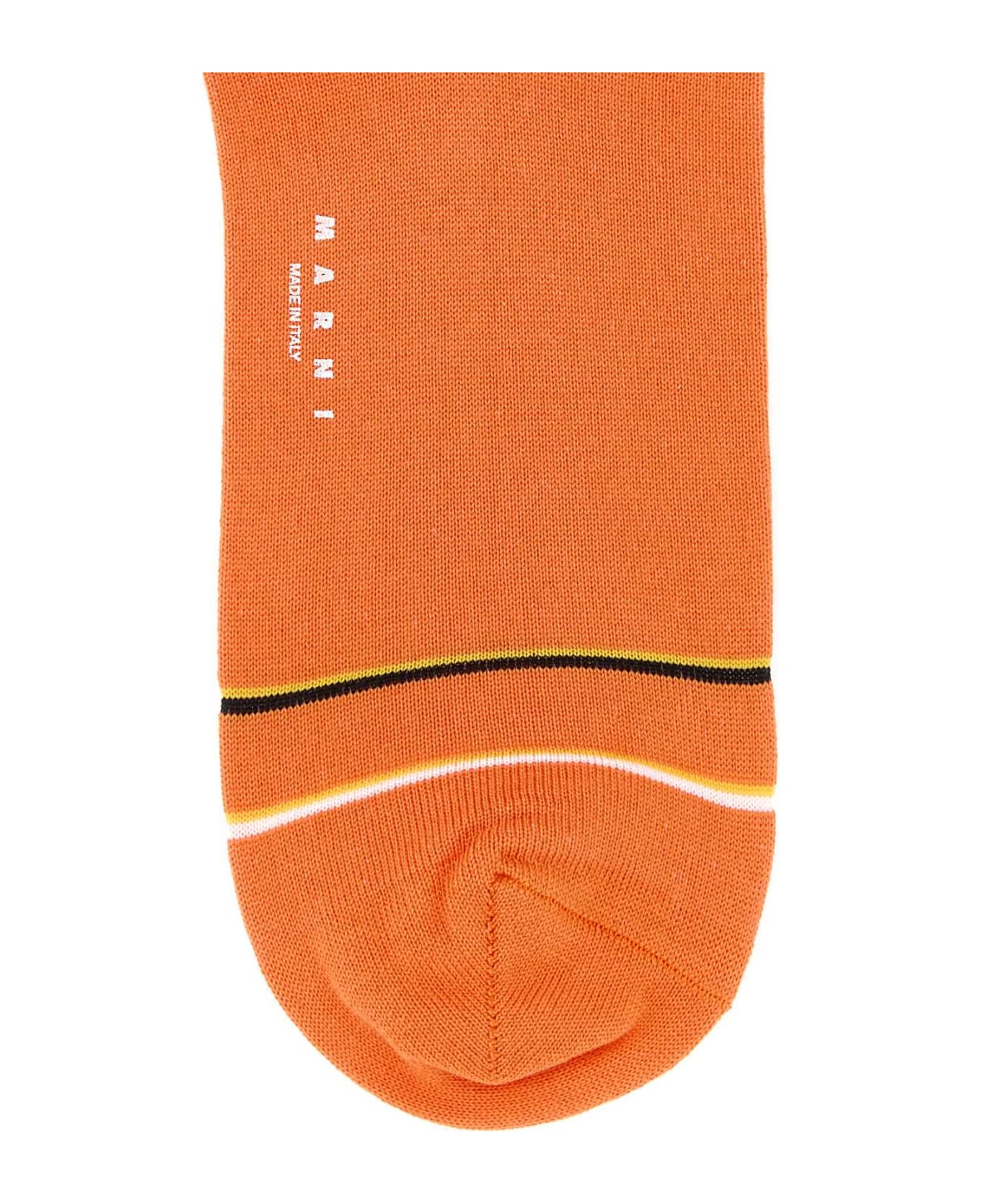 Marni Orange Cotton Blend Socks - NECTARINE 靴下