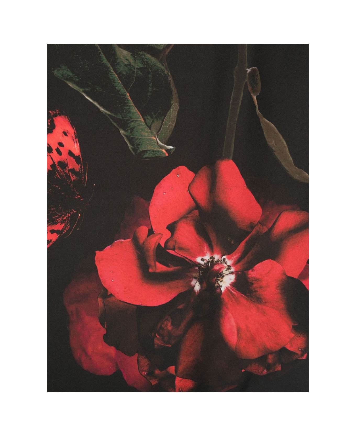 Alexander McQueen Black Silk Scarf With Red Rose Print - Black スカーフ＆ストール