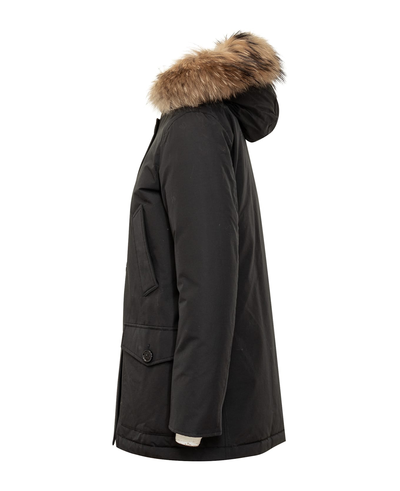 Woolrich Artic Parka - Black