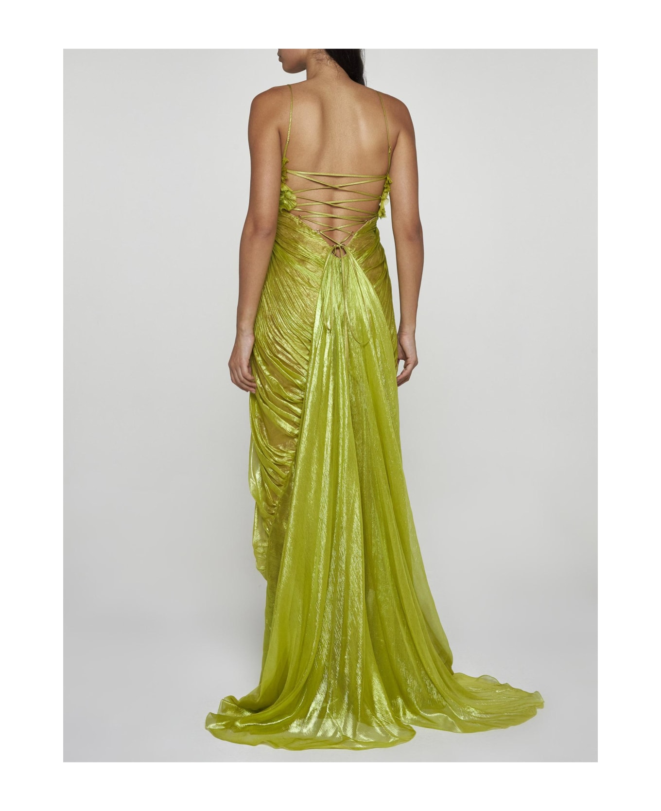 Maria Lucia Hohan Victoria Silk Long Dress - Lime