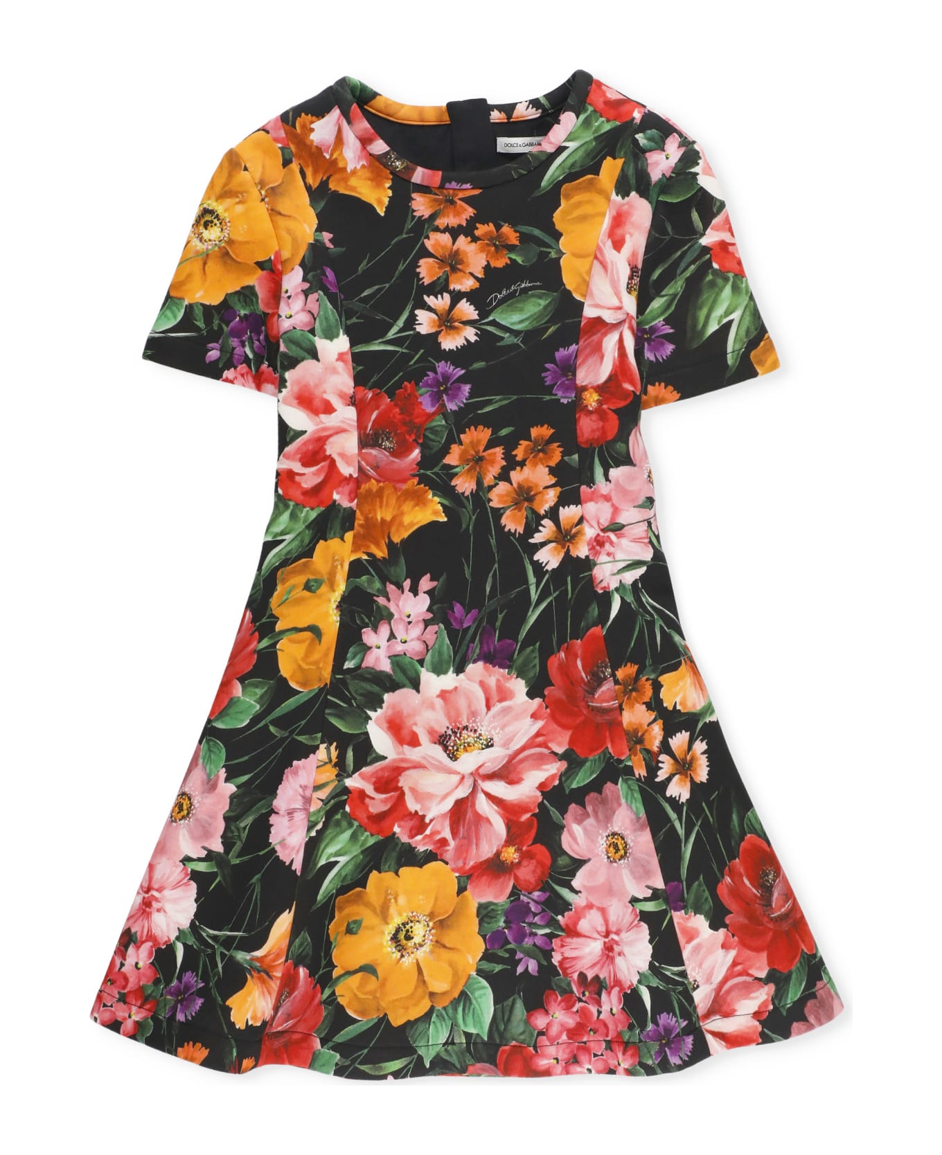 Dolce & Gabbana Dress With Print - MultiColour