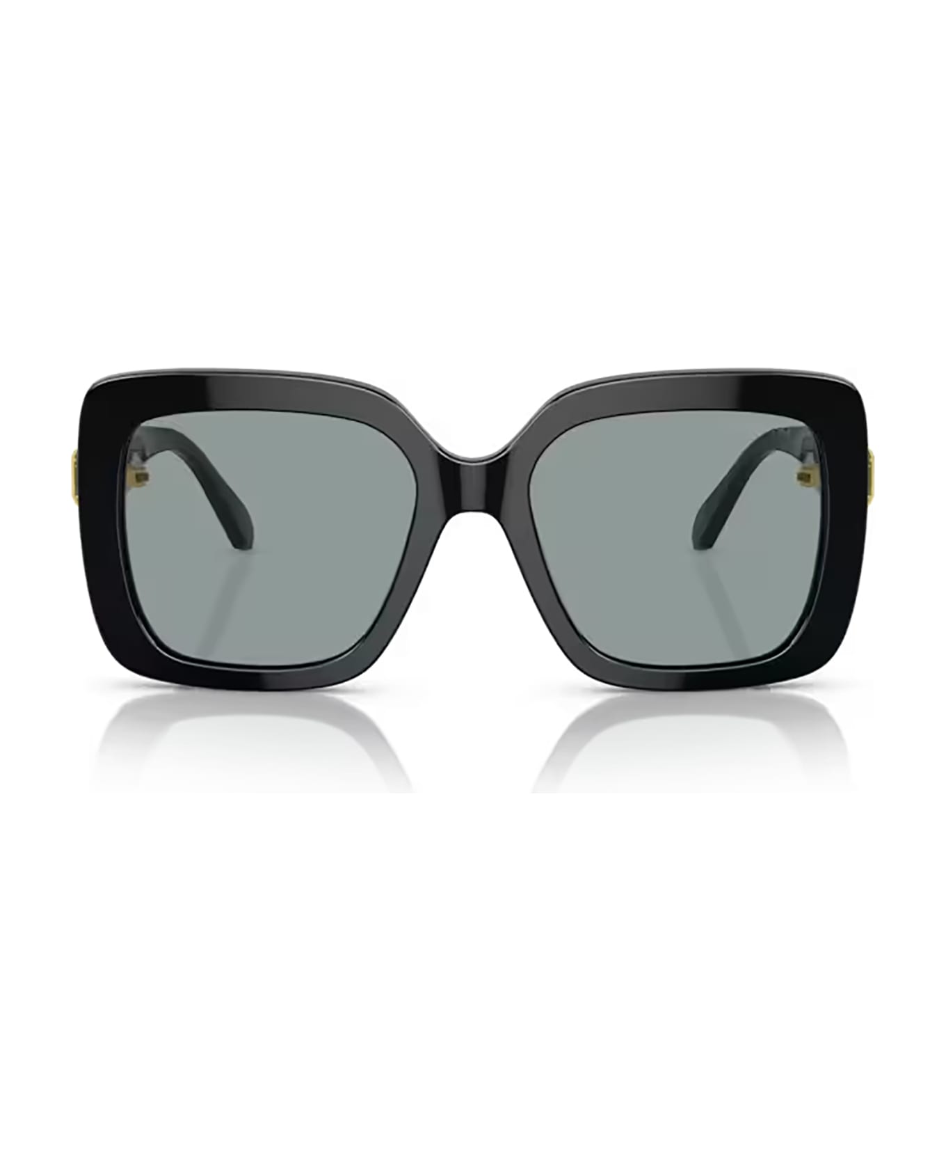 Swarovski Sk6001 Black Sunglasses - Black サングラス