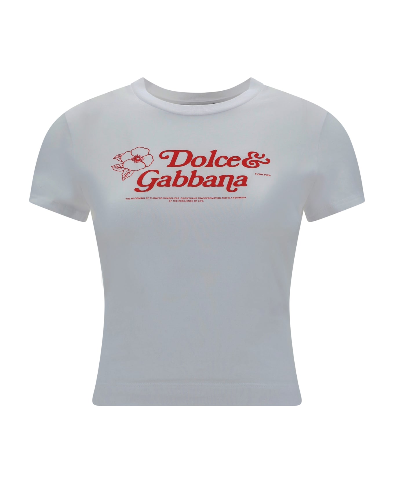 Dolce & Gabbana T-shirt - Bianco Ottico