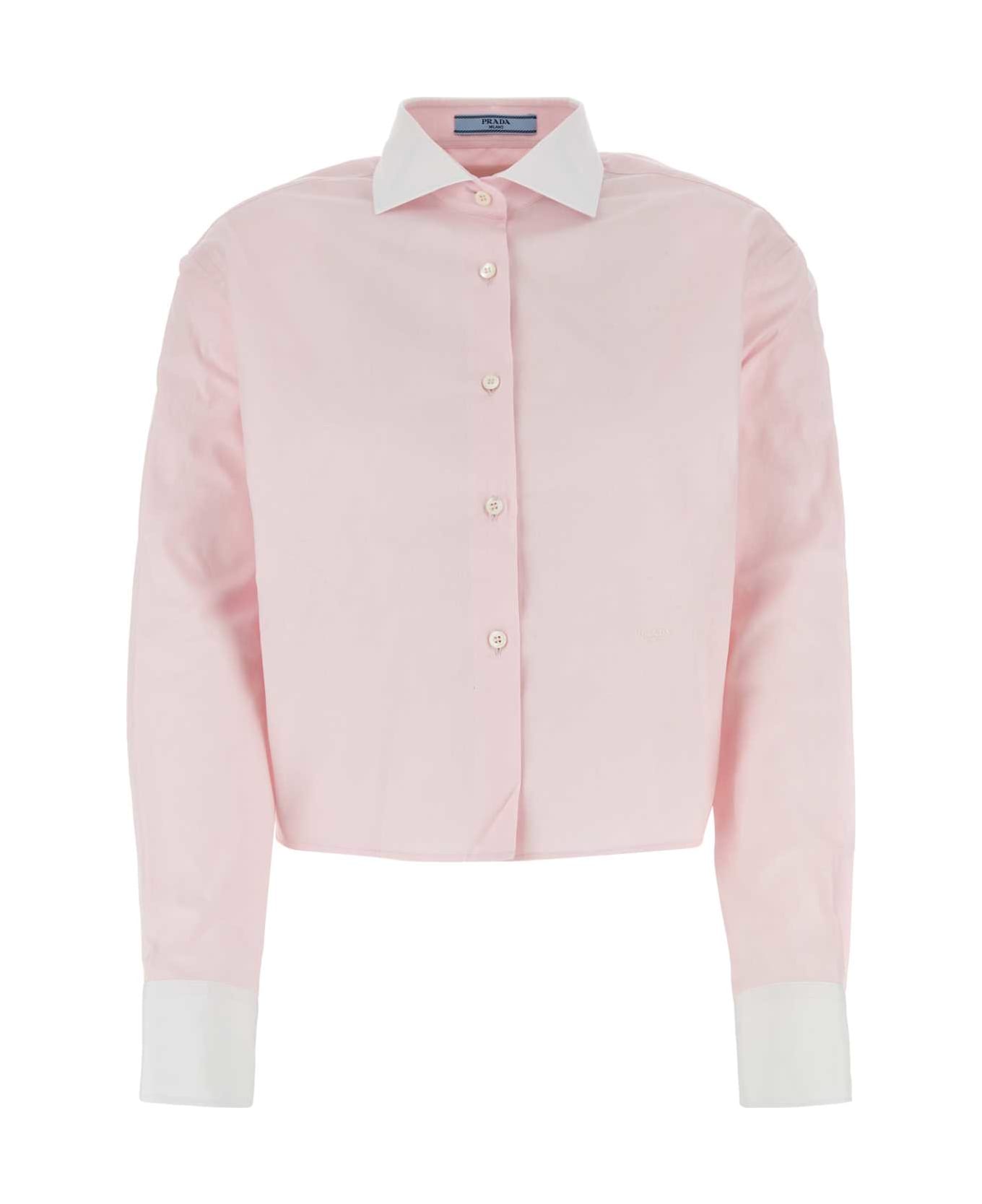 Prada Pastel Pink Oxford Shirt - ROSA