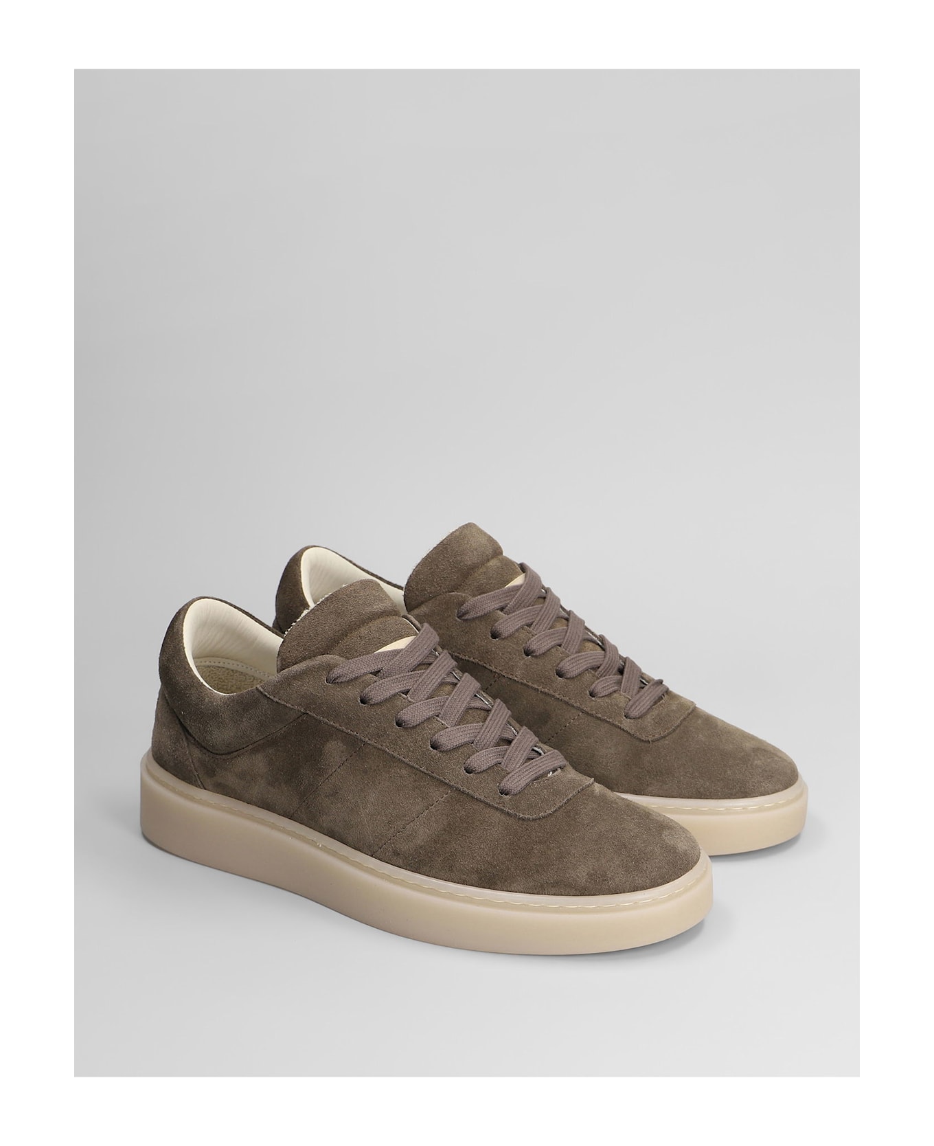 Low Brand Fly Sneakers In Taupe Suede - taupe