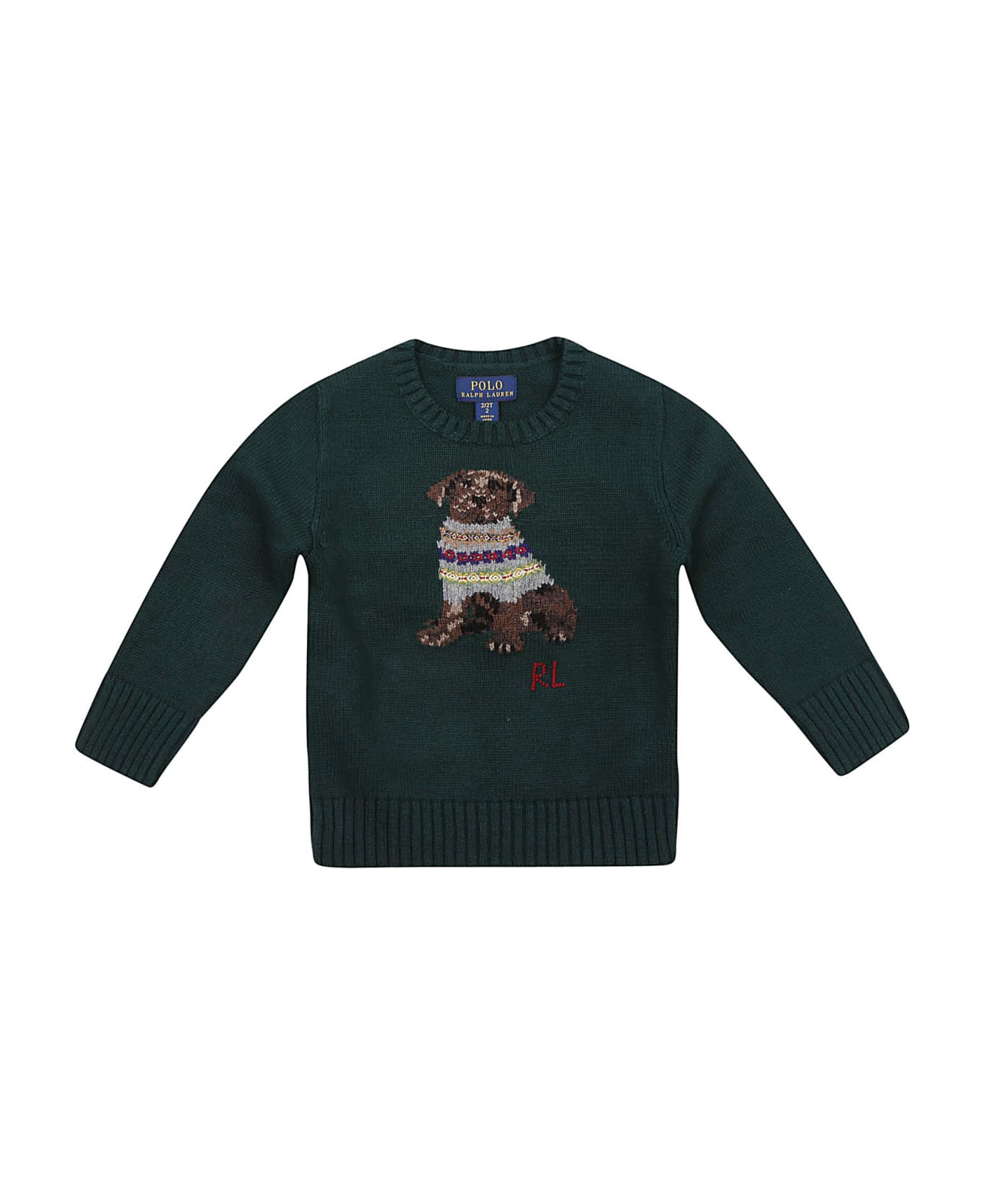 Ralph Lauren Ls Cn Dog-sweater-pullover - Hunt Club Green ニットウェア＆スウェットシャツ