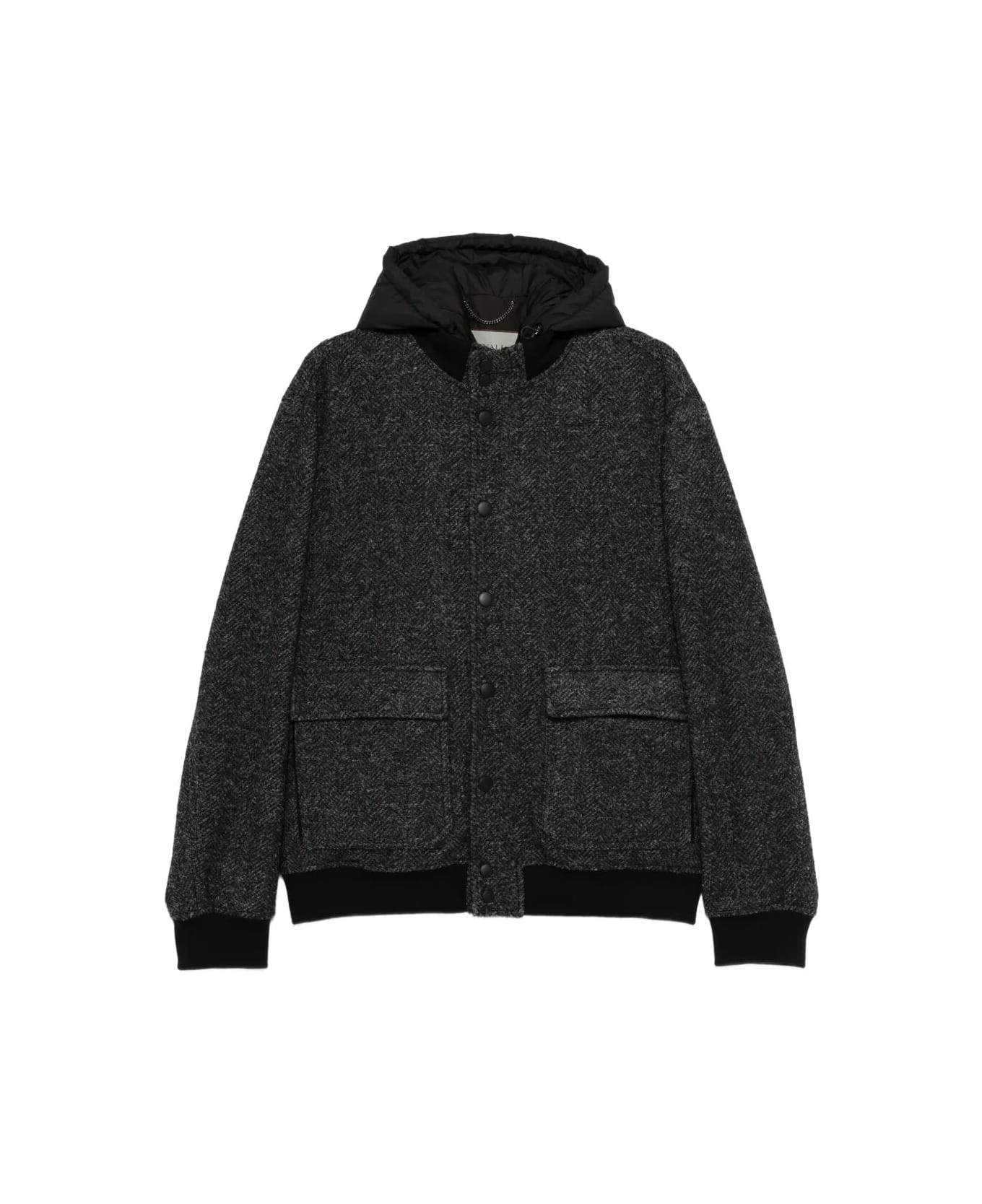 Canali Jacket - Grey