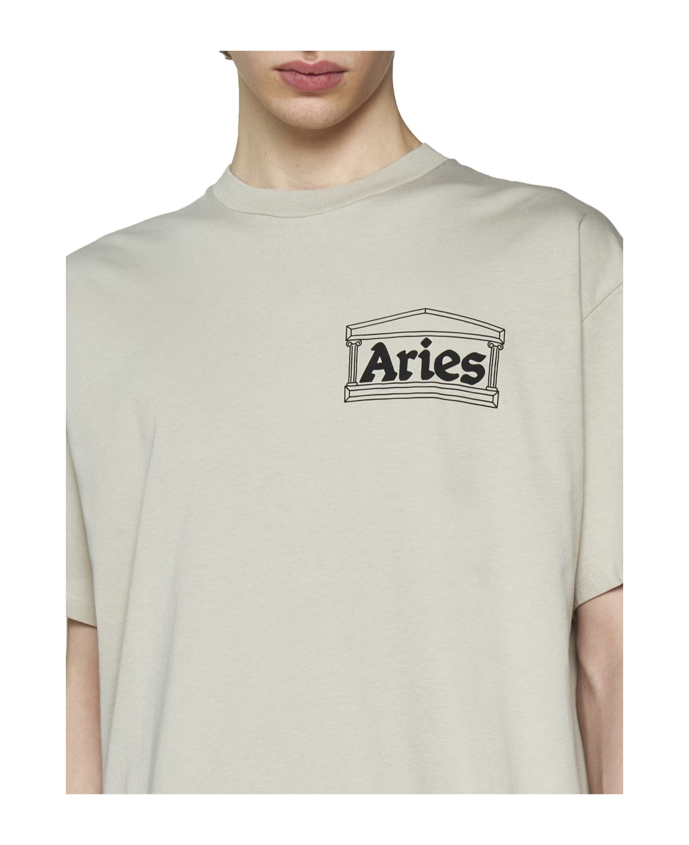 Aries T-Shirt - Agate