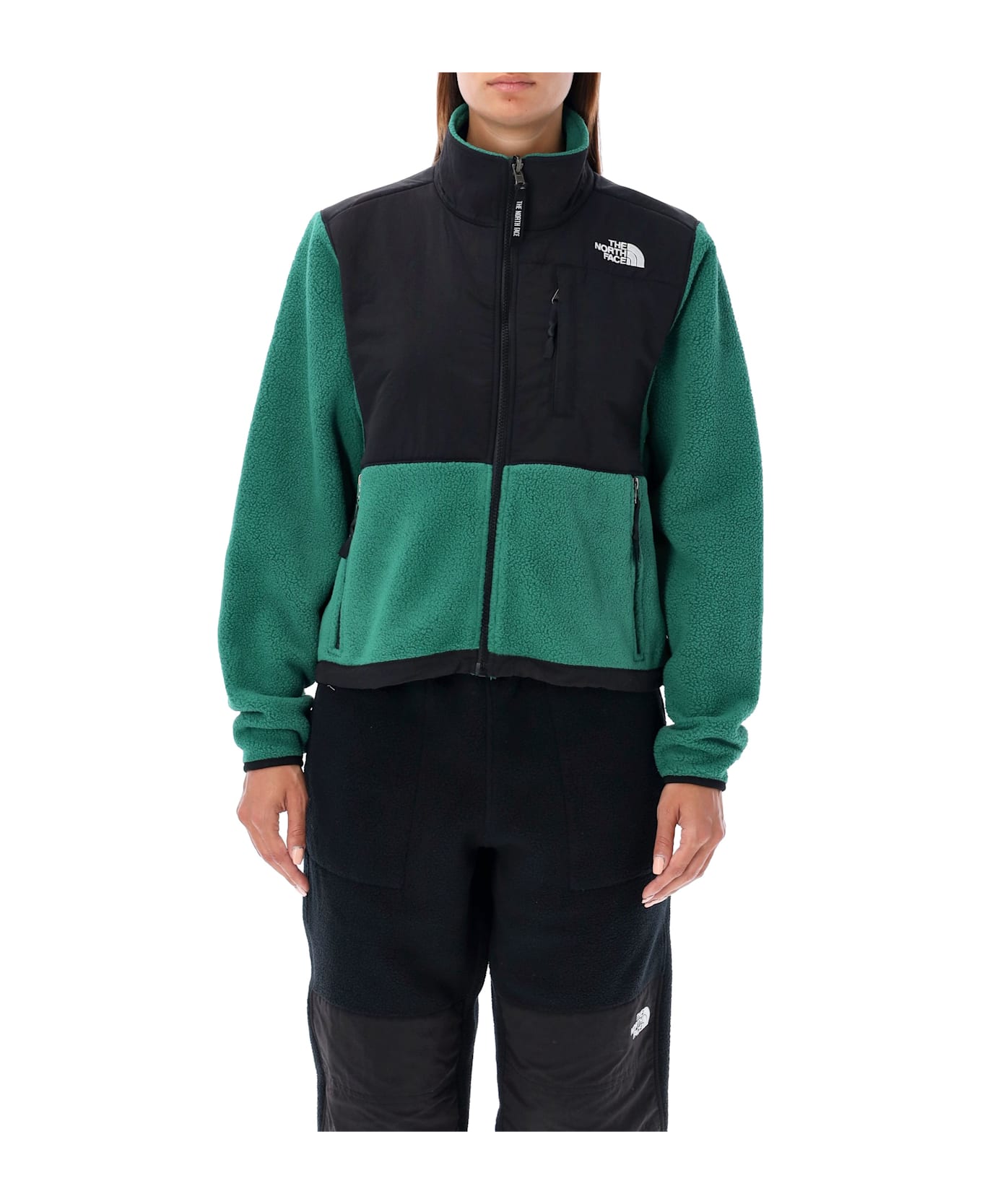 The North Face Retro Danali Jacket - EVERGREEN/TNF BLACK