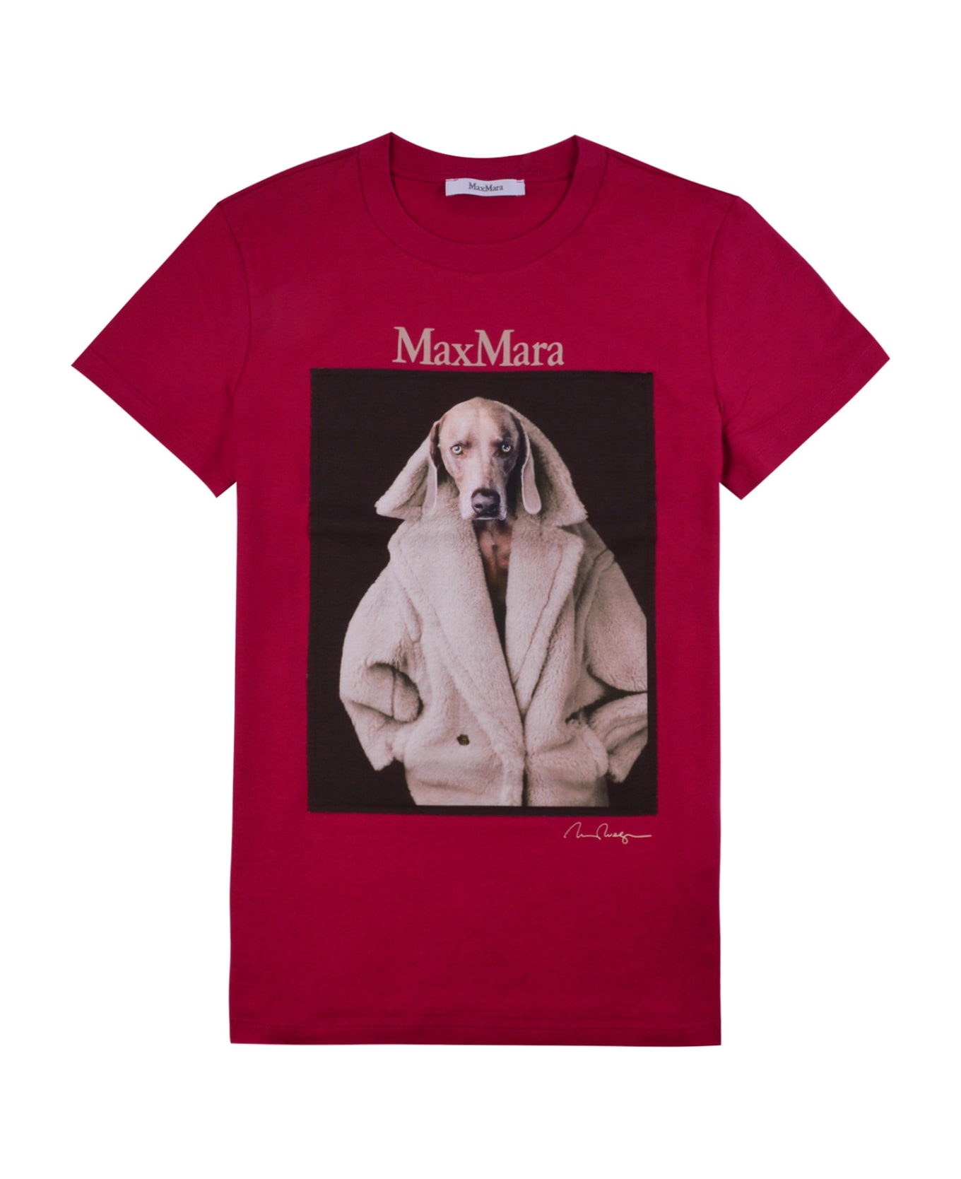 Max Mara T-shirt Dogstar - Viola