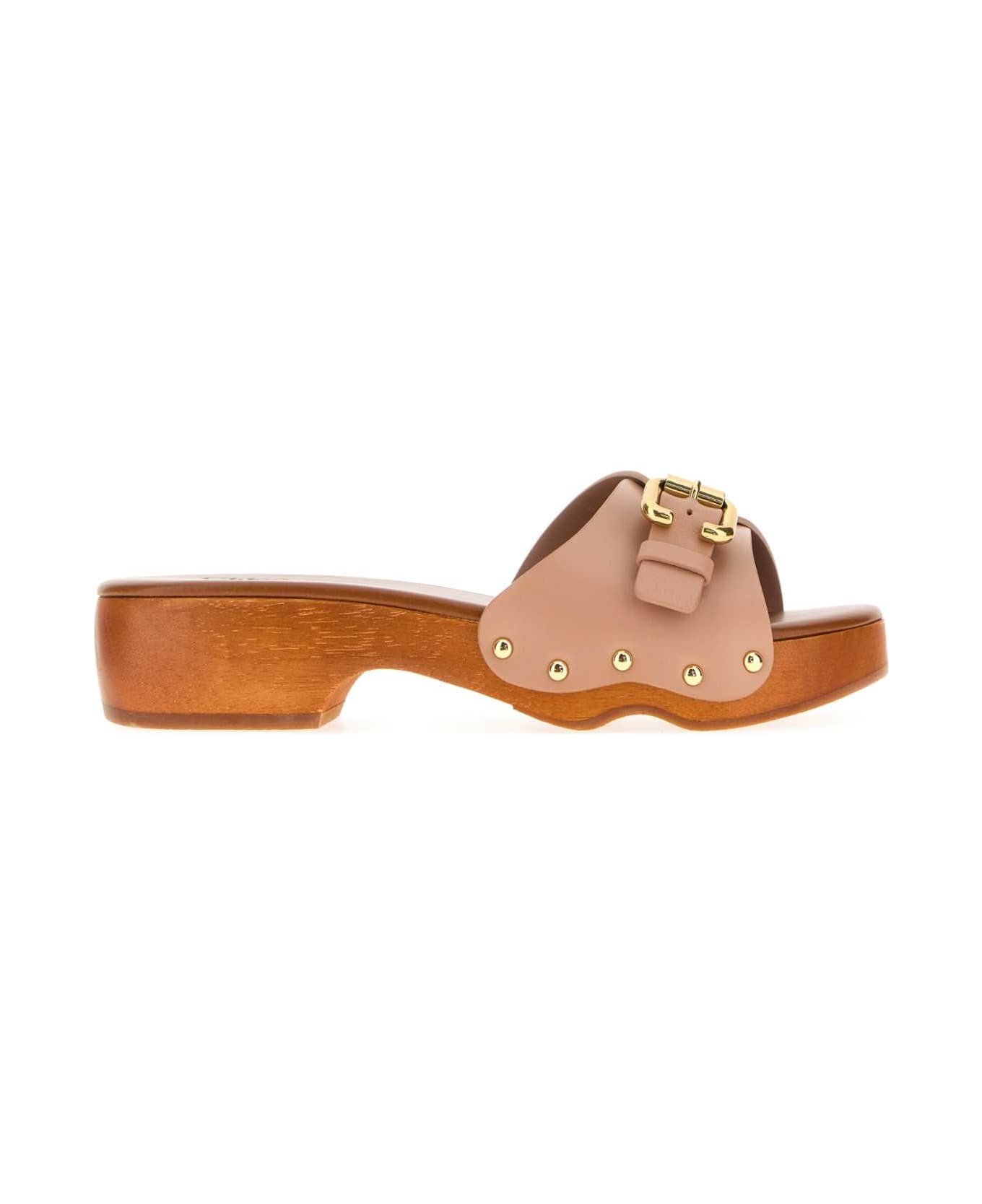 Chloé Powder Pink Leather Jeanette Clogs - BLUSHPINK