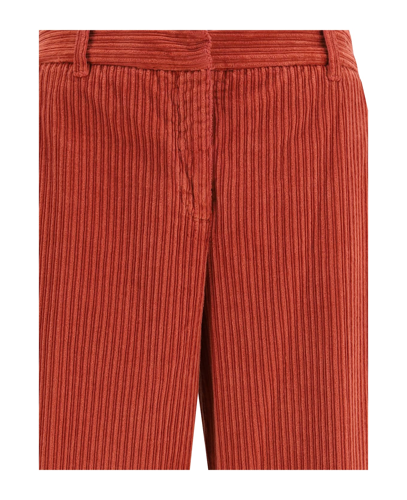 True Royal Nicky Pants