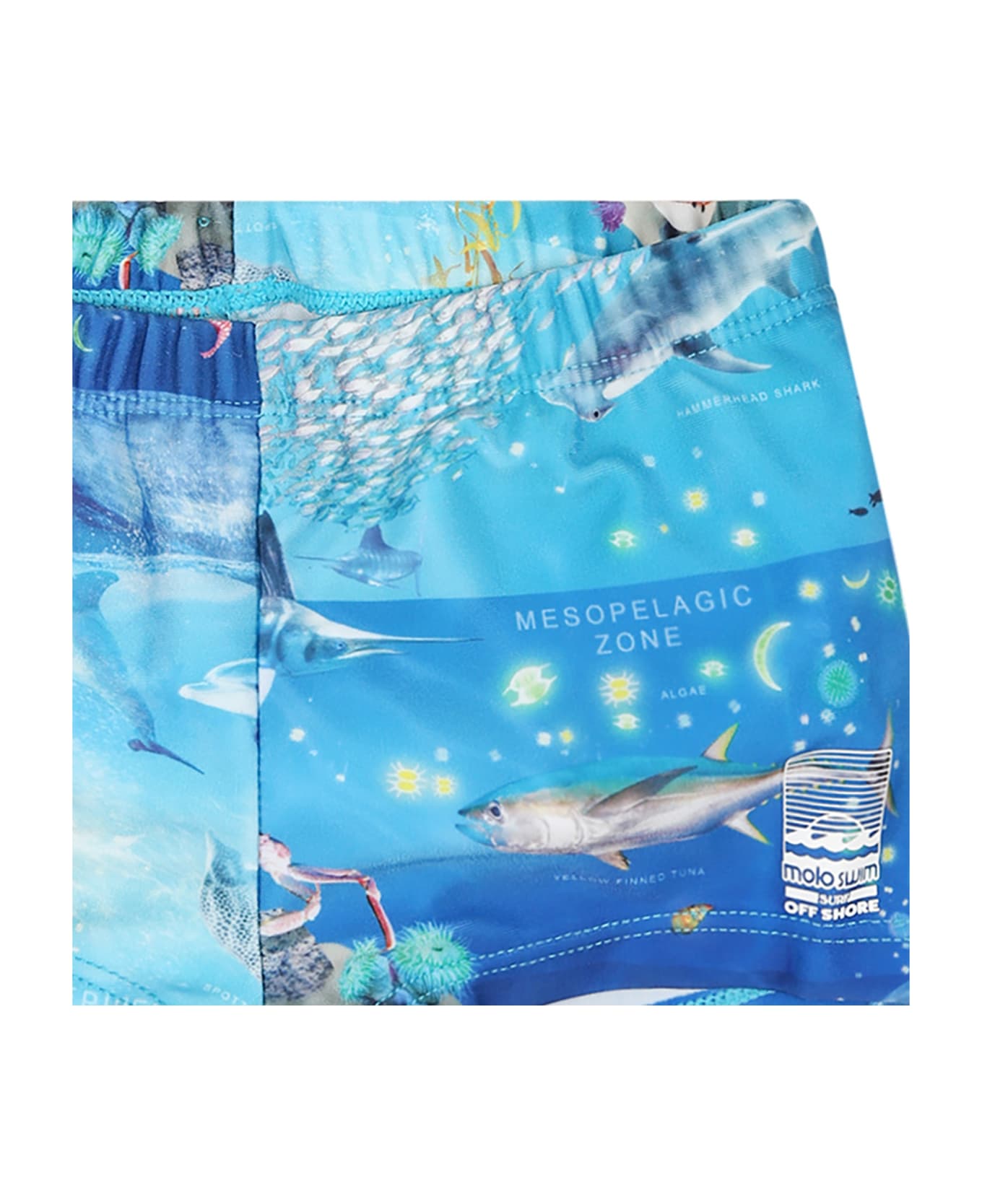 Molo Light Blue Swimsuit For Baby Boy With Marine Animals - Light Blue 水着