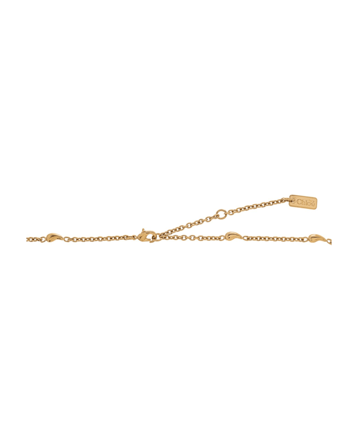 Chloé 
chloè Shells
 Necklace - Gold