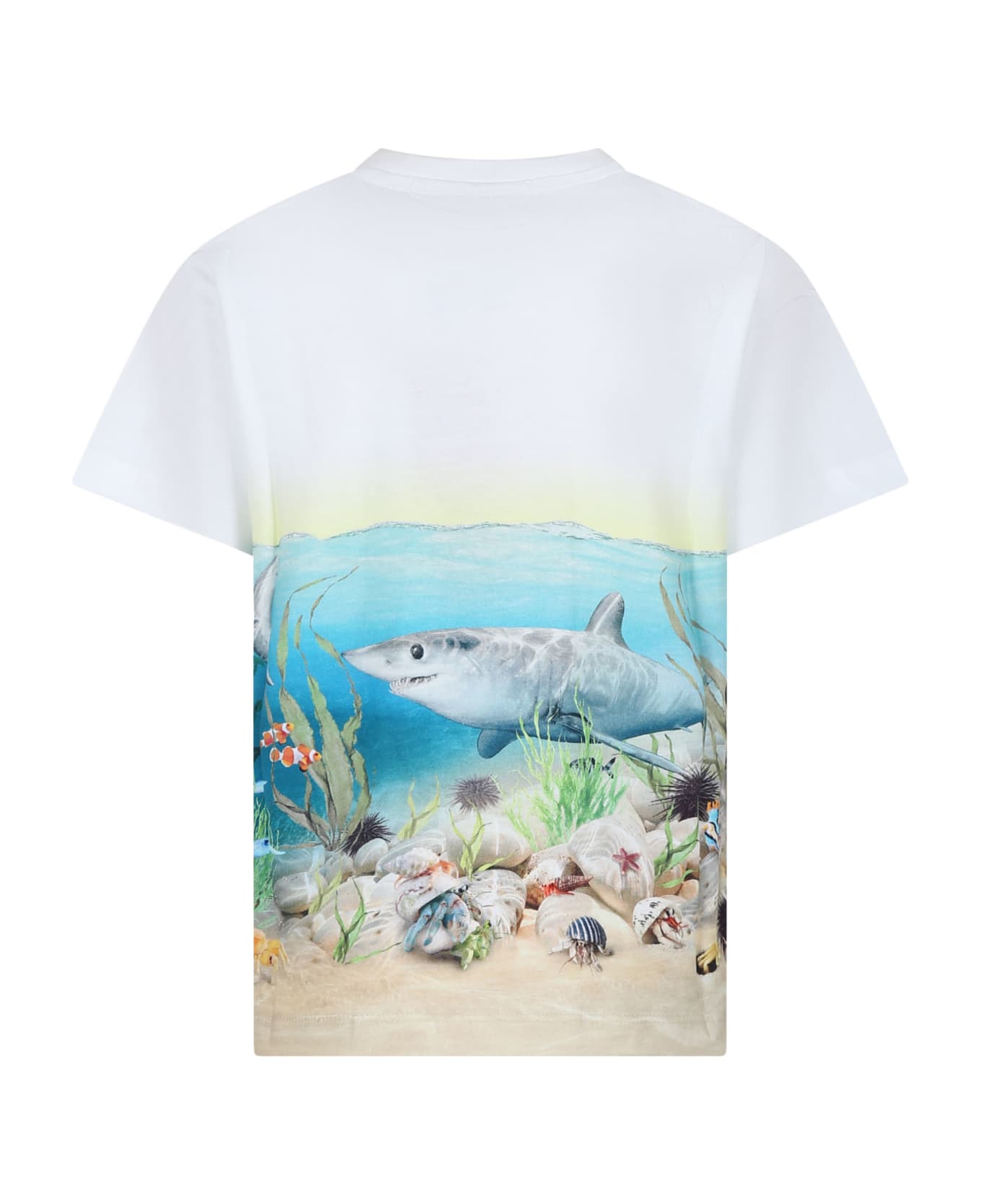 Molo White T-shirt For Boy With Shark Print - White Tシャツ＆ポロシャツ