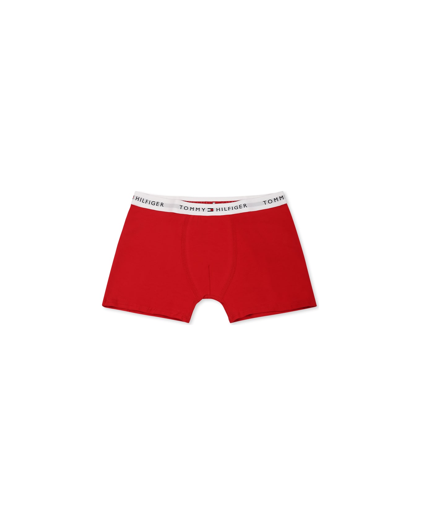 Tommy Hilfiger Multicolor Boxer Briefs Set For Boy With Logo - Multicolor