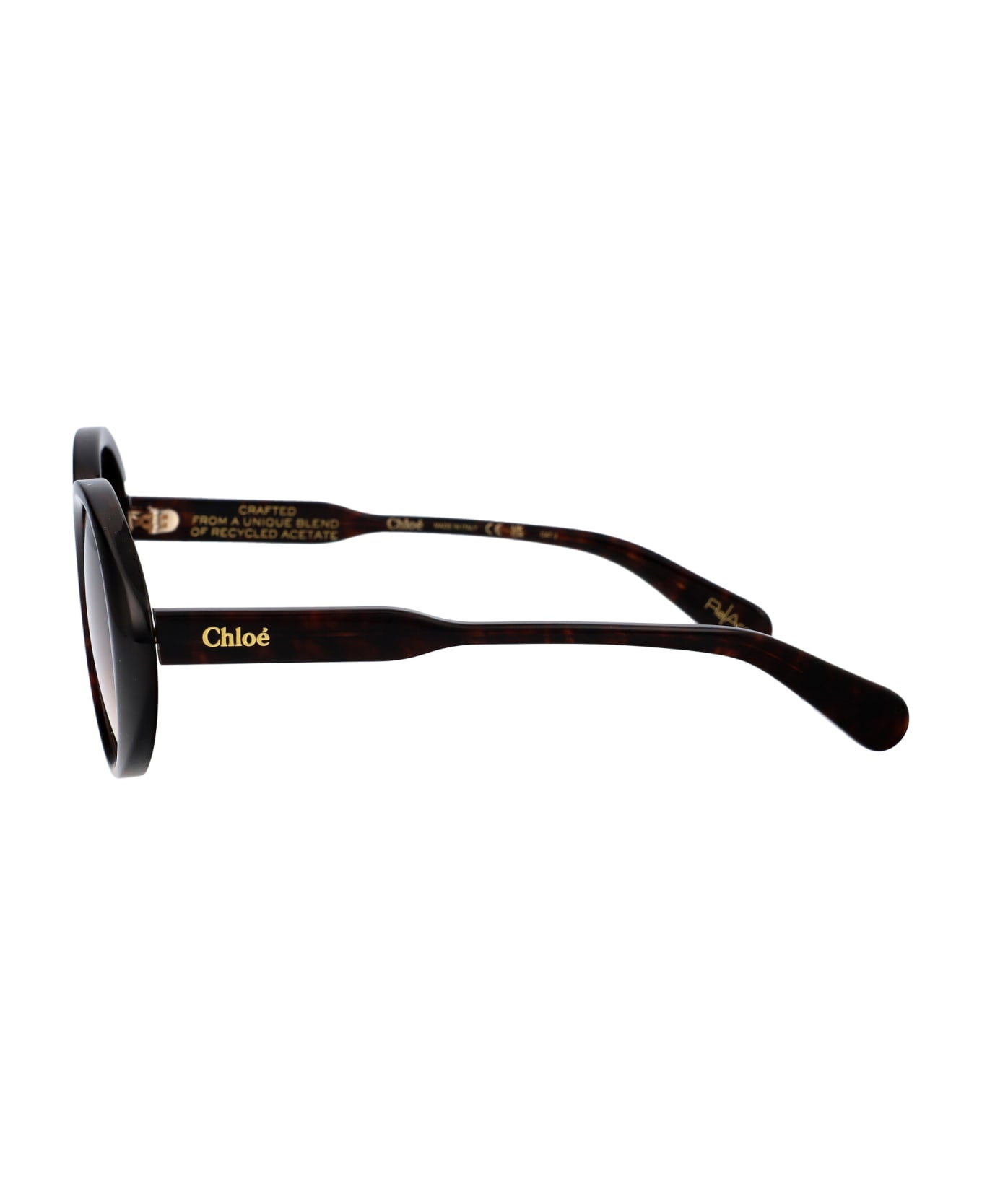 Chloé Eyewear Ch0221s Sunglasses - 002 HAVANA HAVANA BROWN