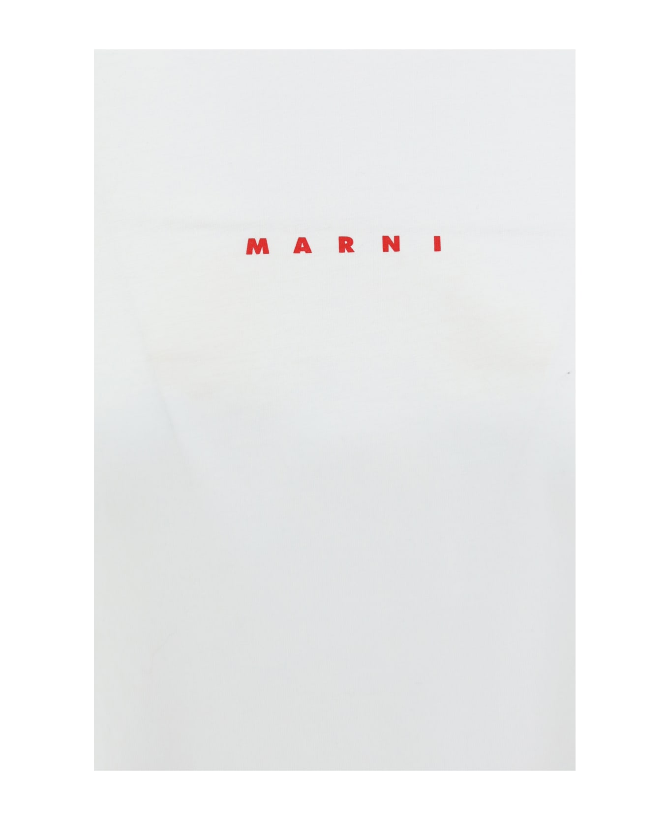 Marni Organic Logo T-shirt - Lily White