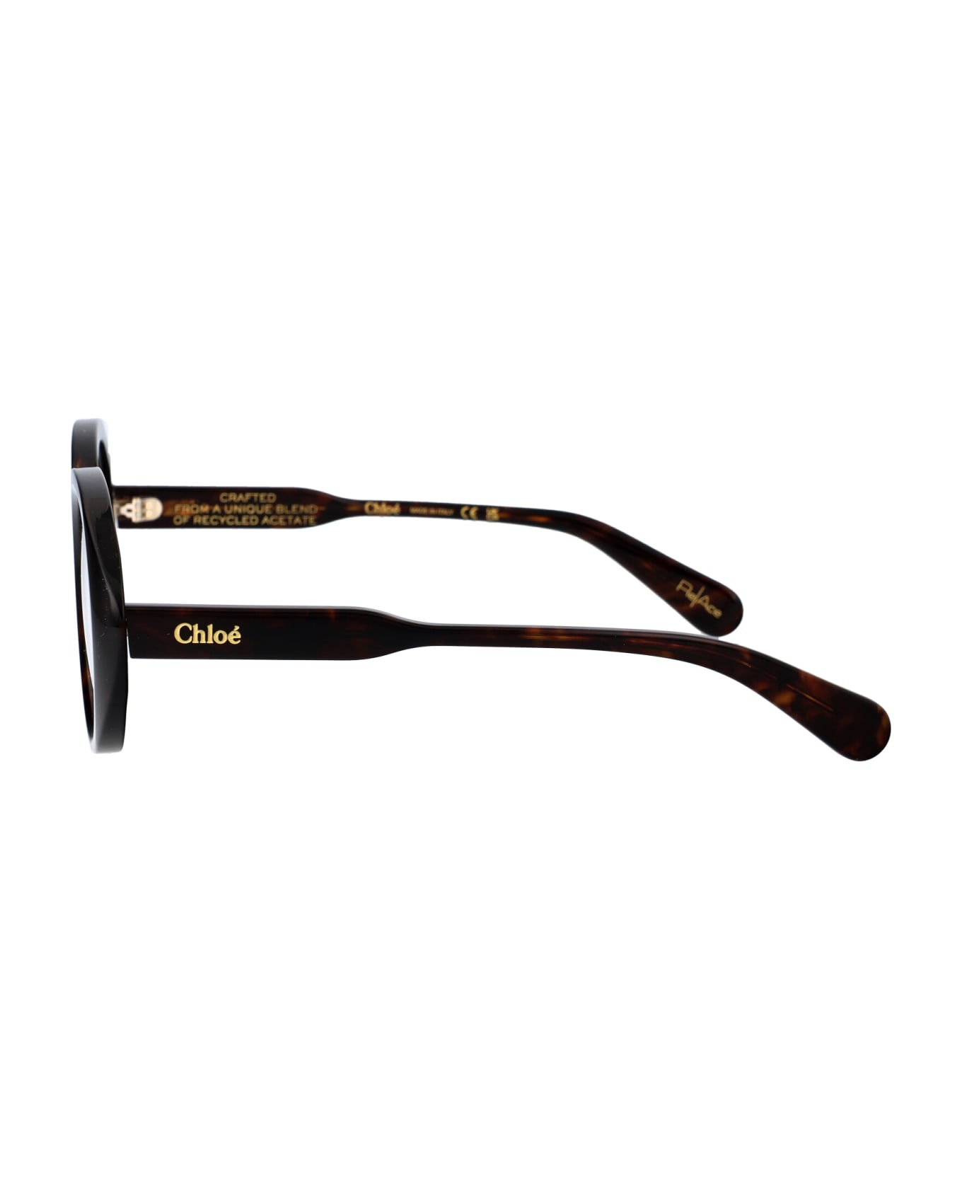Chloé Eyewear Ch0221o Glasses - 002 HAVANA HAVANA TRANSPARENT