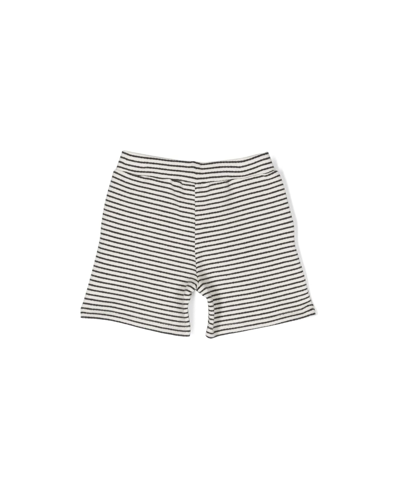 Douuod Striped Shorts - Cream ボトムス