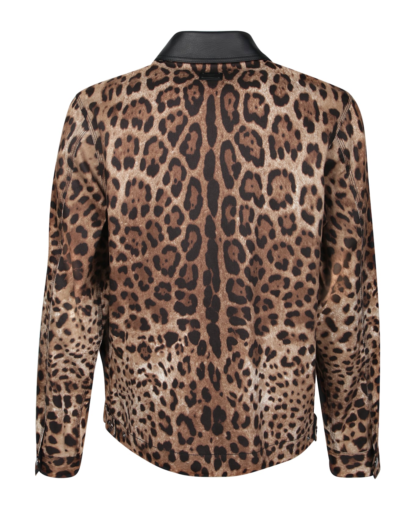 Dolce 
Gabbana Leopard Print Jacket With Black Leather Collar - Multi