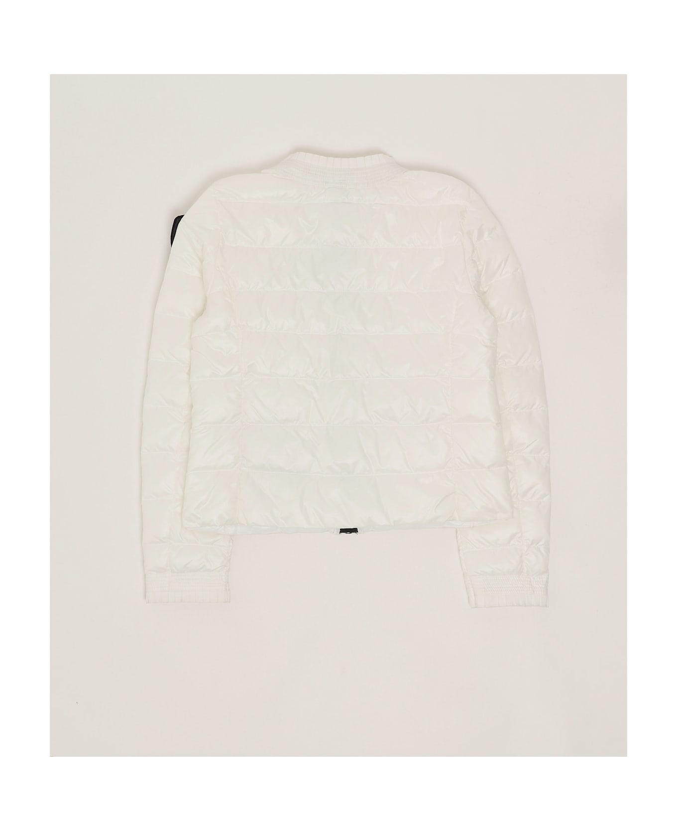 Blauer Rosa Jacket Jacket - BIANCO