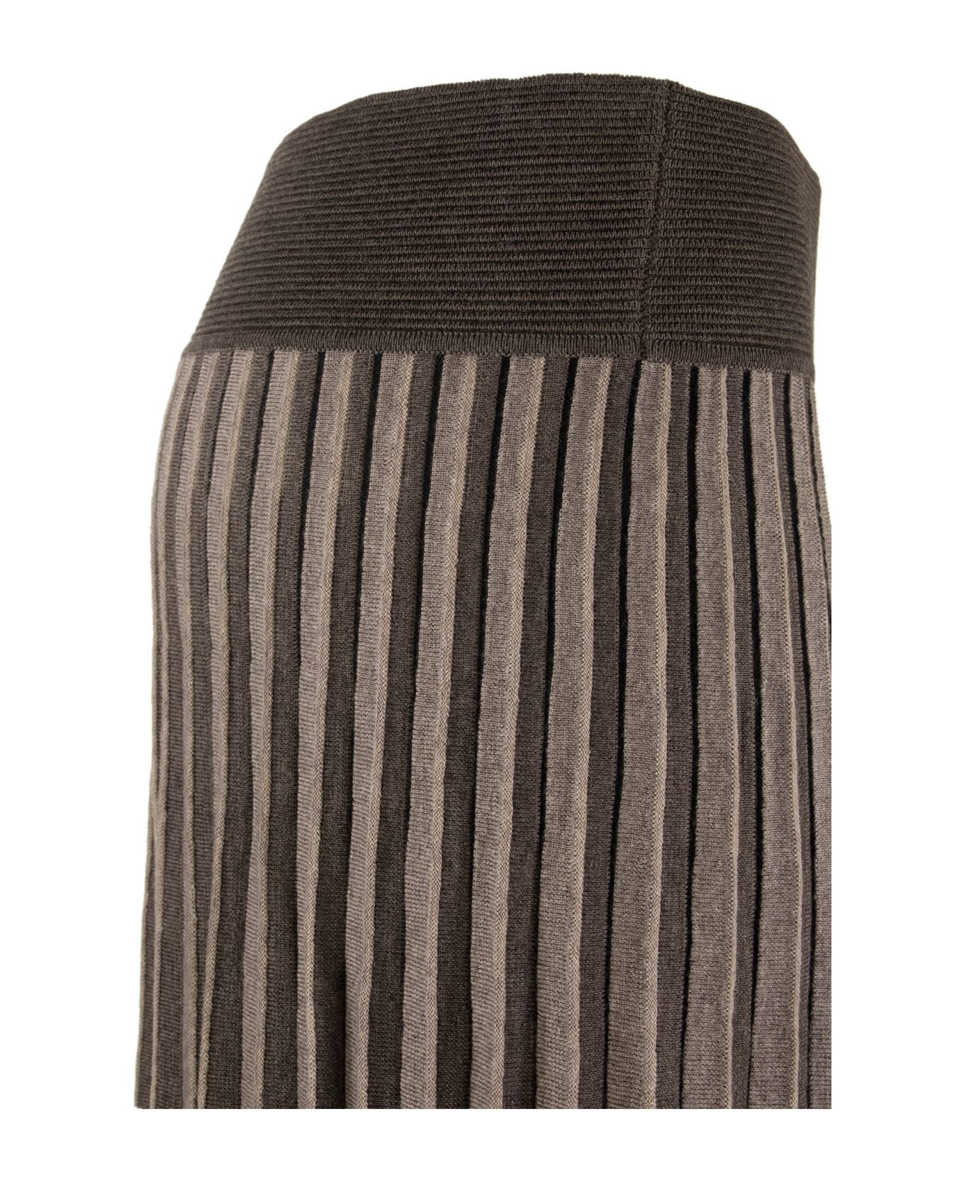 Agnona Crepe Wool Pleated Skirt スカート 通販 | italist