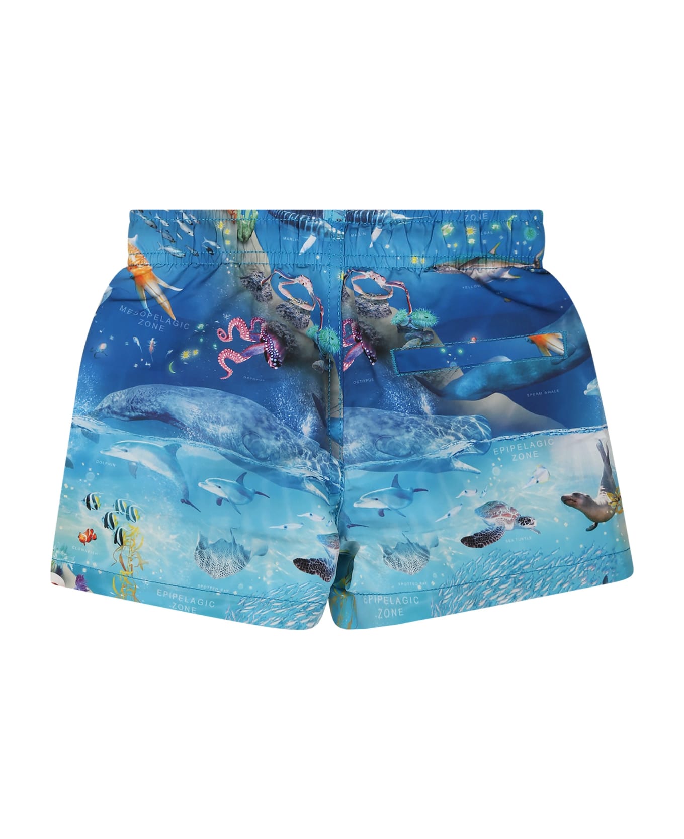 Molo Light Blue Swimsuit For Baby Boy With Marine Animals - Light Blue