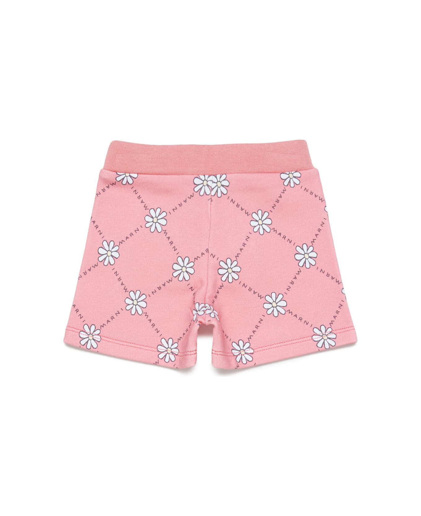 Marni Mp34b Shorts buckle Marni Peach Pink Cotton Shorts With Daisy Pattern - Peach blossom