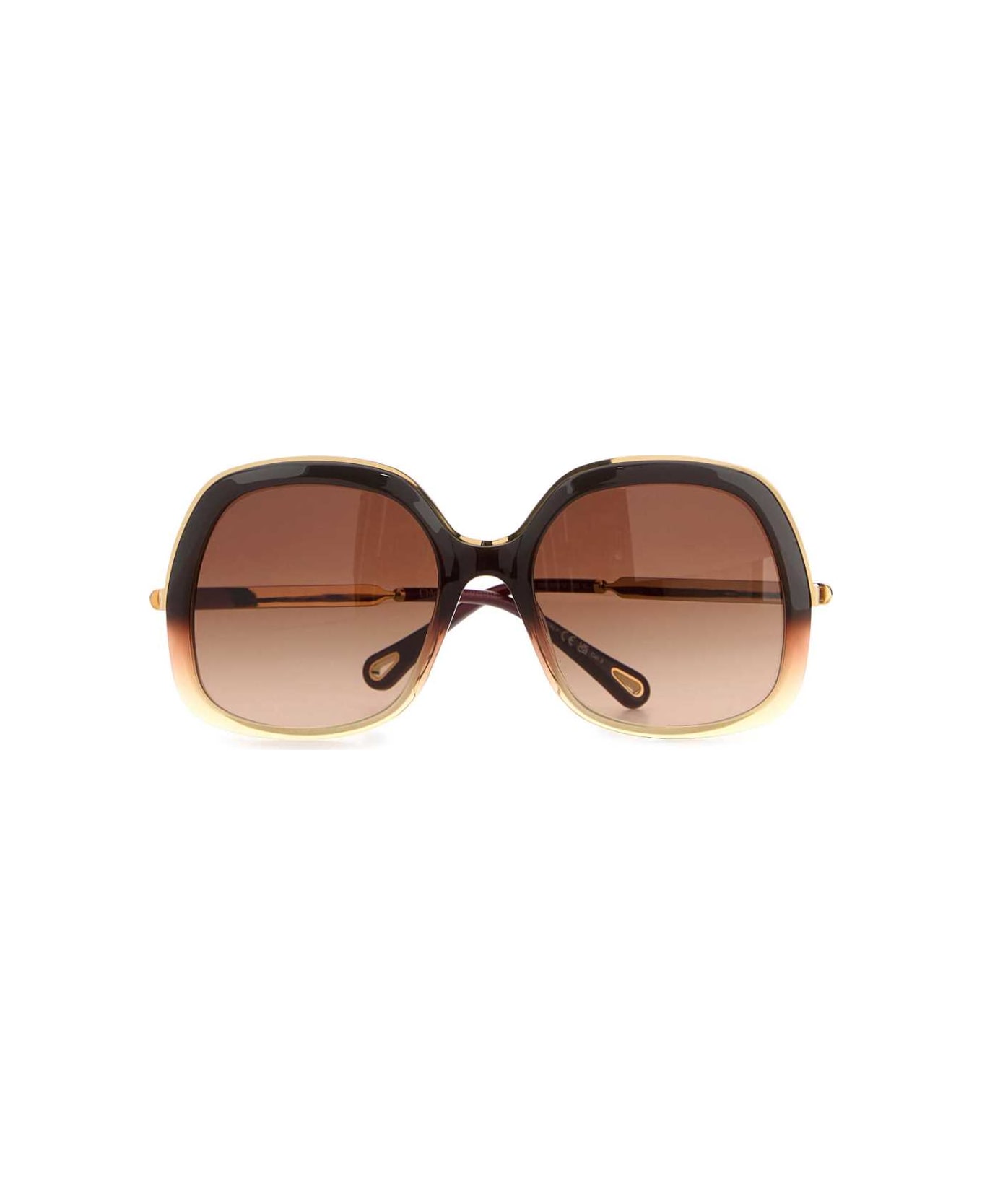 Chloé Brown Acetate Sunglasses - BROWNGOLDBROWN