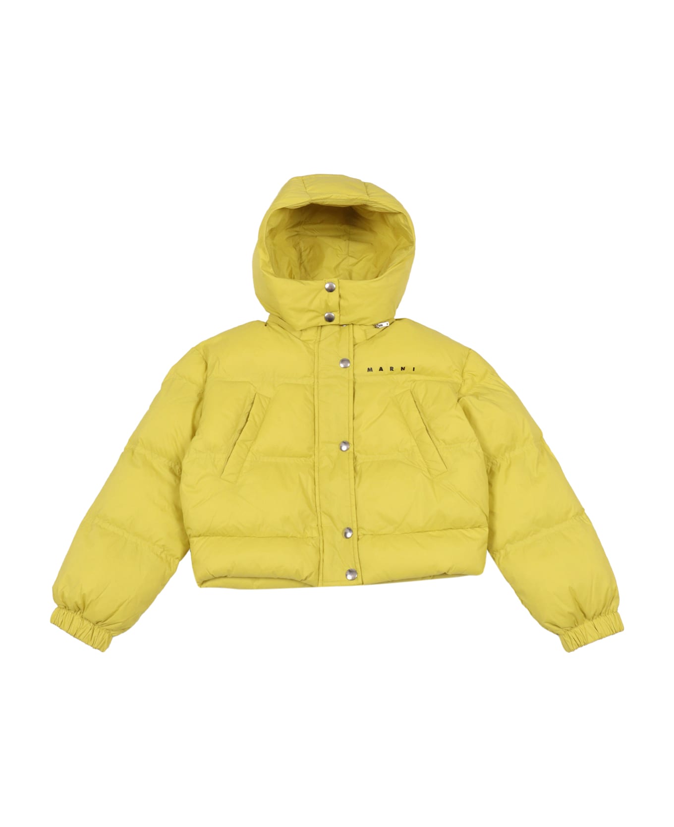 Marni Jackets - YELLOW