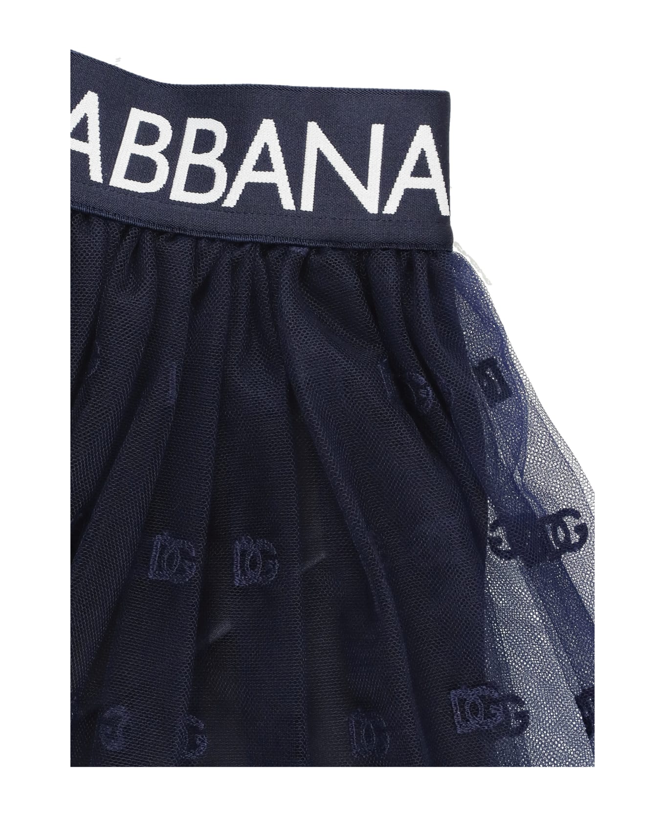 Dolce & Gabbana Tulle Skirt With Monogram - Blue